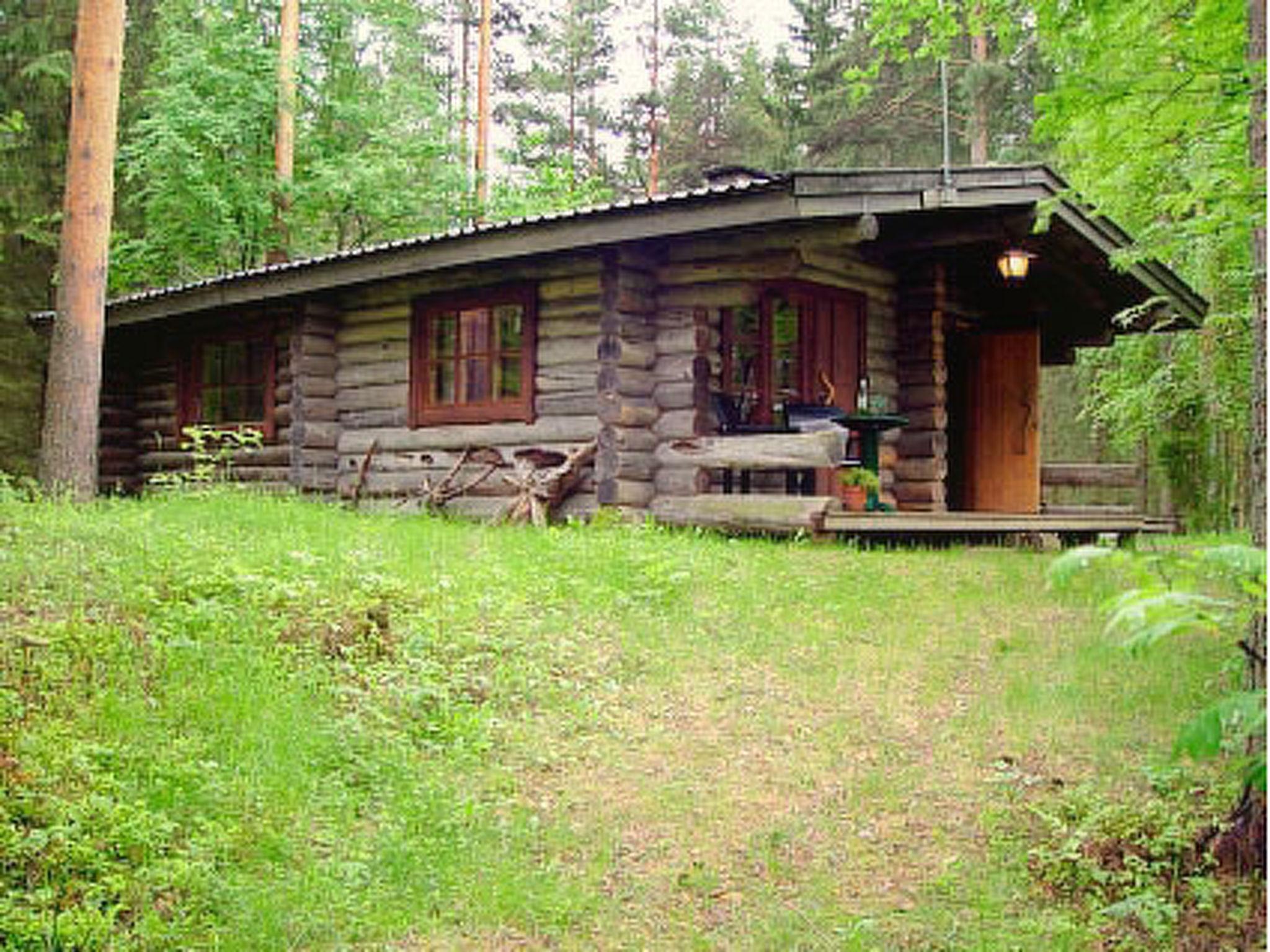 Foto 16 - Casa de 1 quarto em Asikkala com sauna