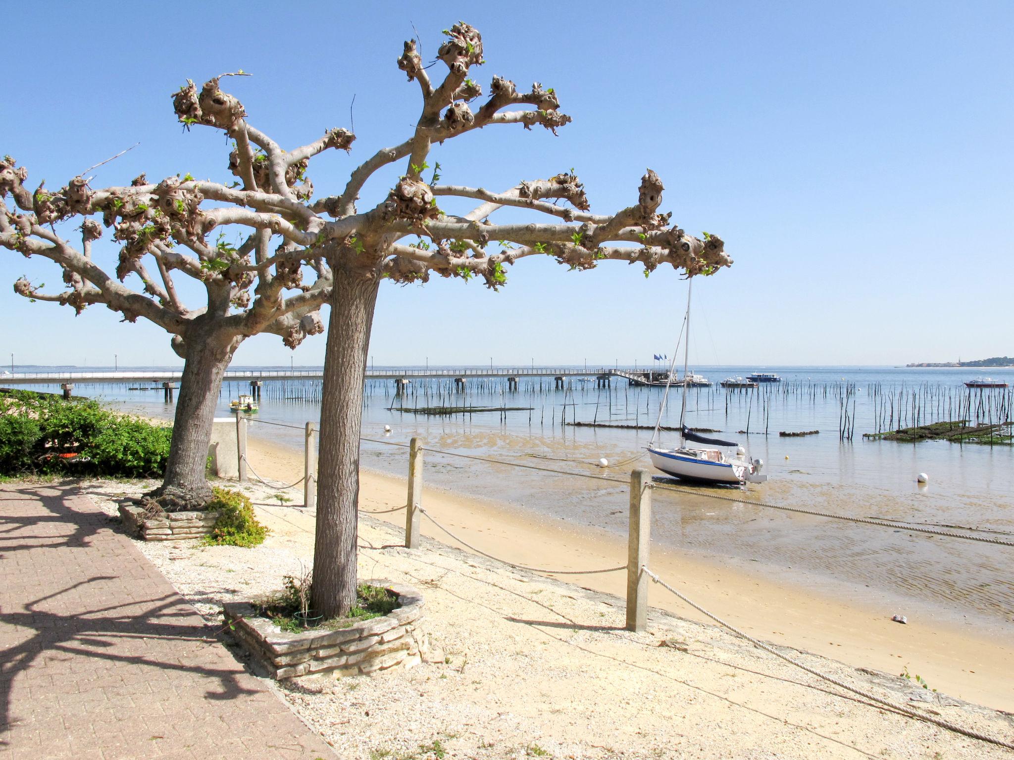 Foto 7 - Apartamento en Lège-Cap-Ferret con terraza y vistas al mar