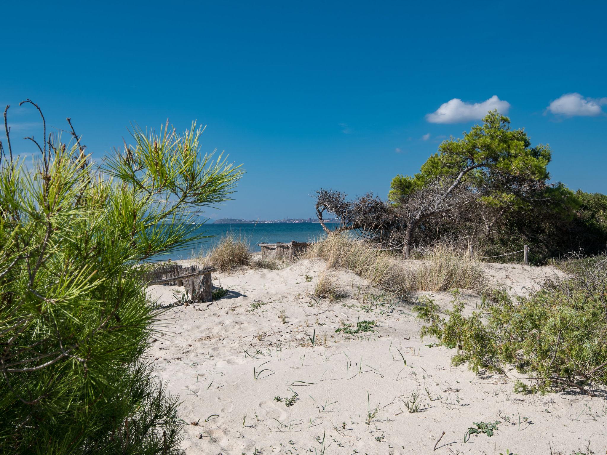 Foto 33 - Haus mit 1 Schlafzimmer in Piombino mit schwimmbad und garten