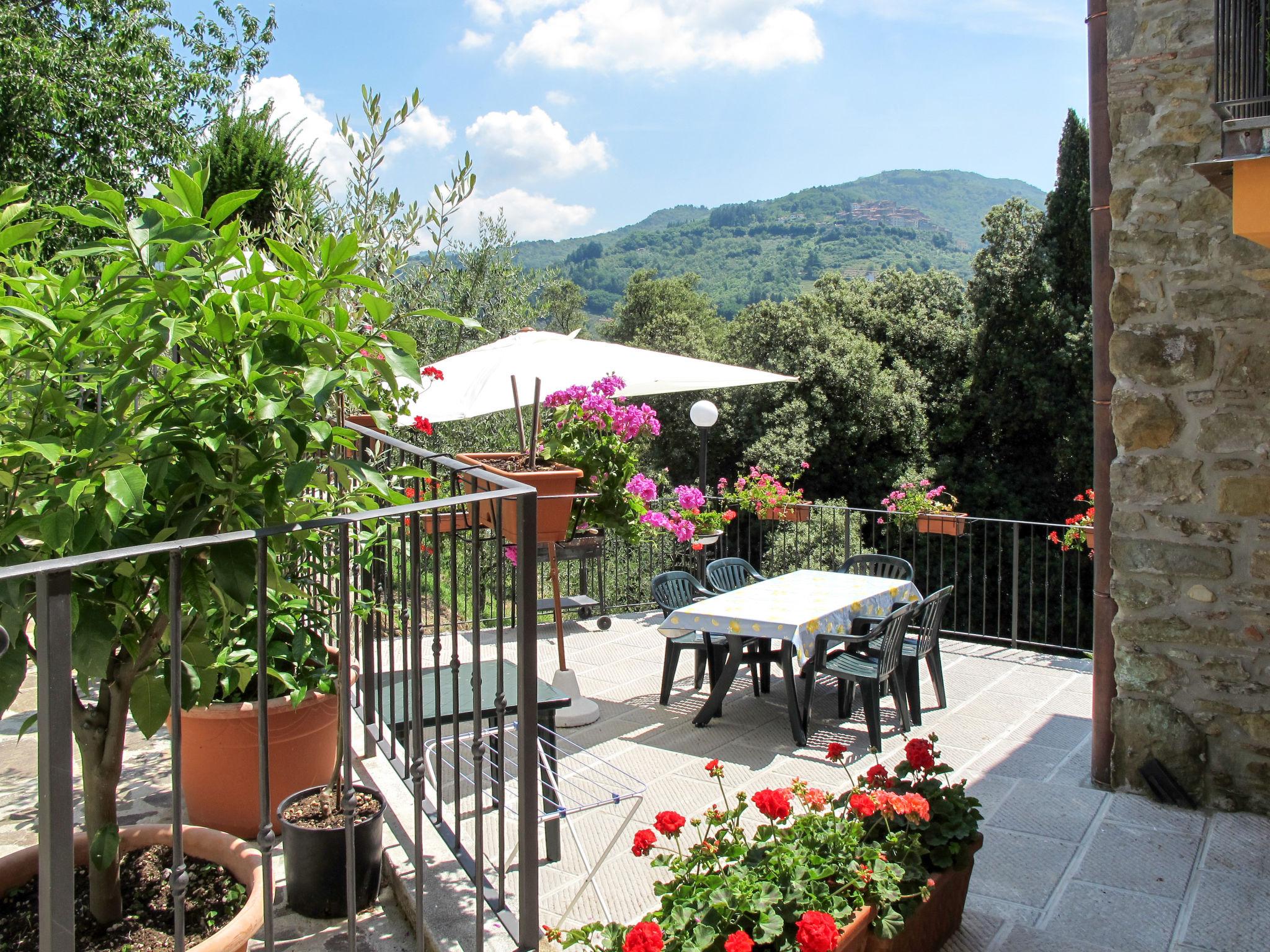 Foto 3 - Apartamento de 2 quartos em Pescia com piscina e terraço