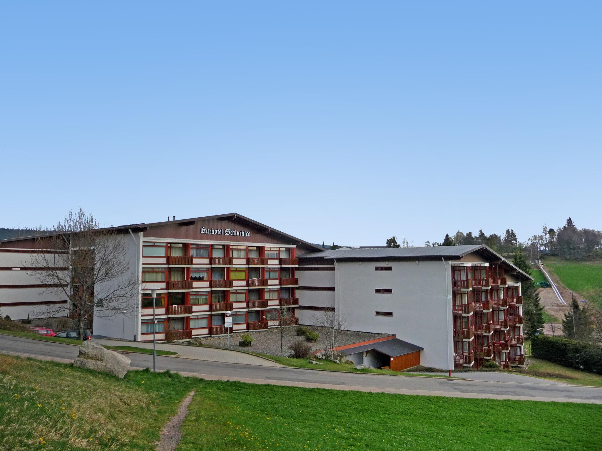 Photo 21 - Appartement de 1 chambre à Schluchsee avec jardin et vues sur la montagne