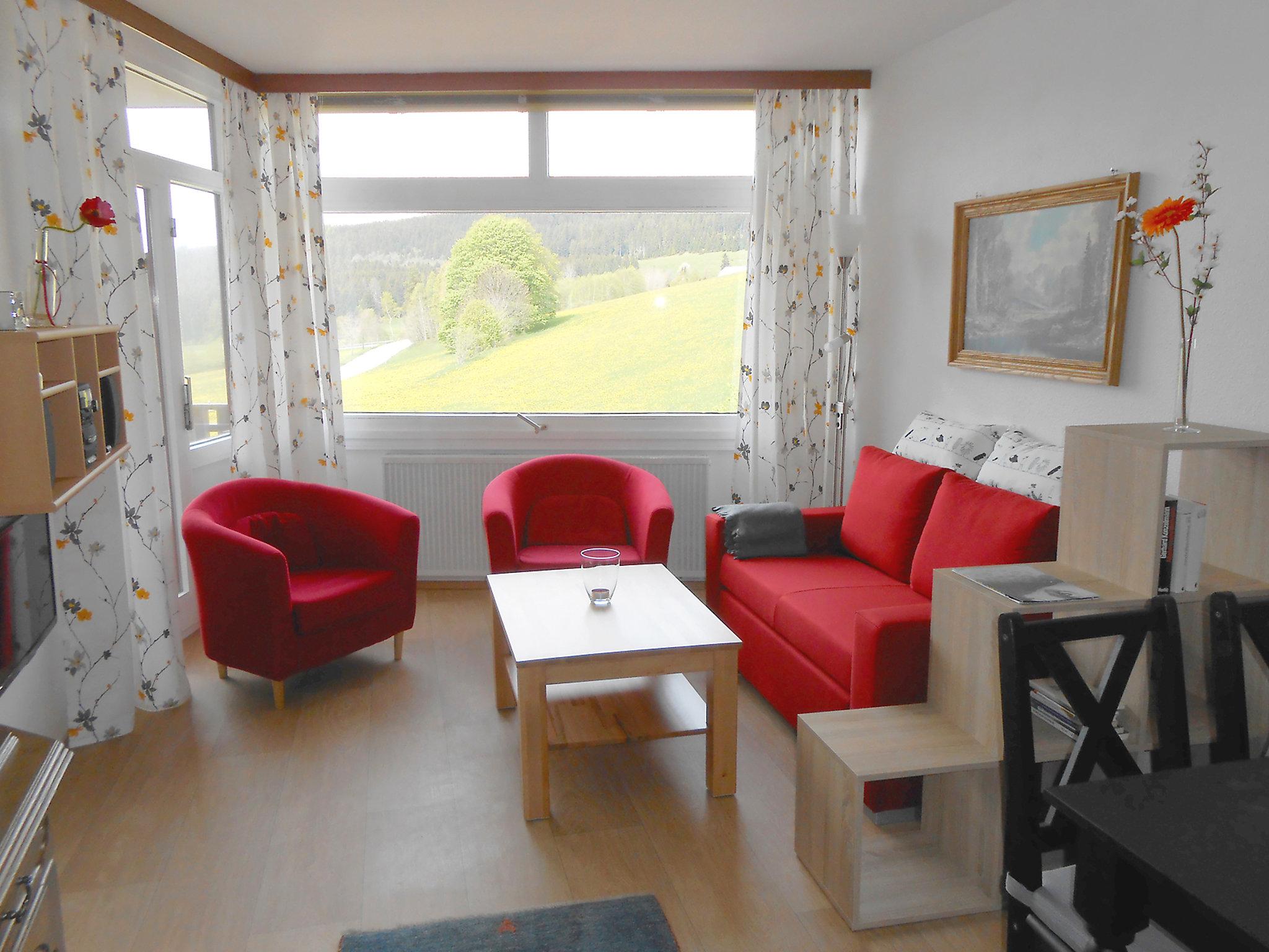 Photo 3 - 1 bedroom Apartment in Schluchsee with garden and mountain view