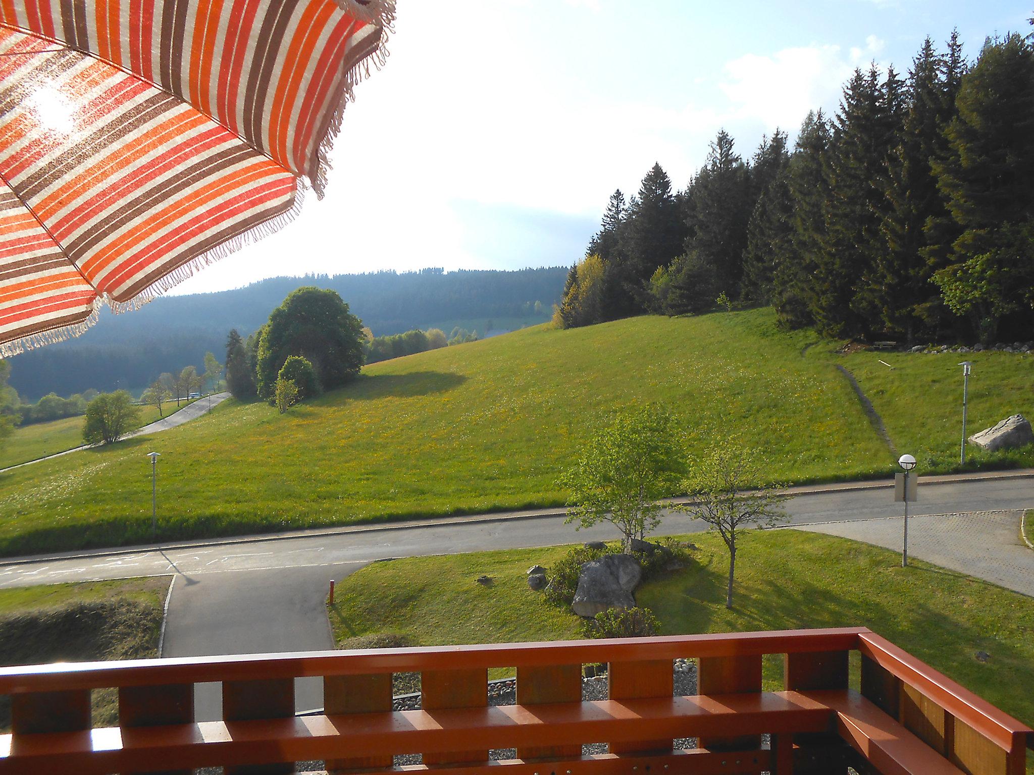 Foto 2 - Apartamento de 1 quarto em Schluchsee com jardim e vista para a montanha