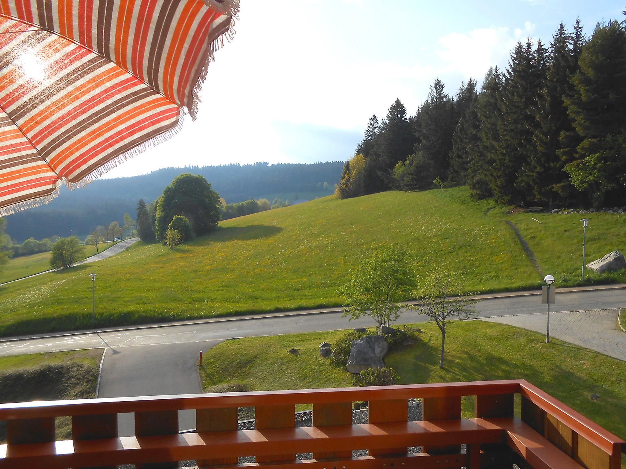 Photo 2 - 1 bedroom Apartment in Schluchsee with garden