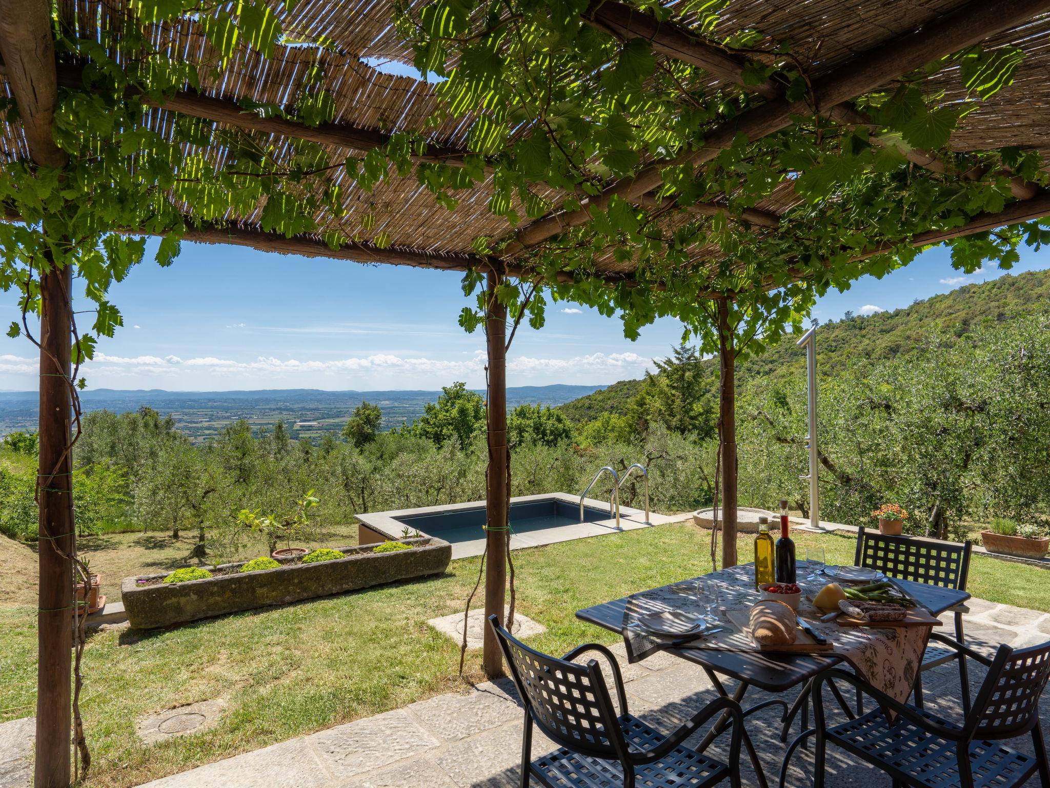 Foto 2 - Casa de 1 habitación en Castiglion Fiorentino con piscina privada y jardín