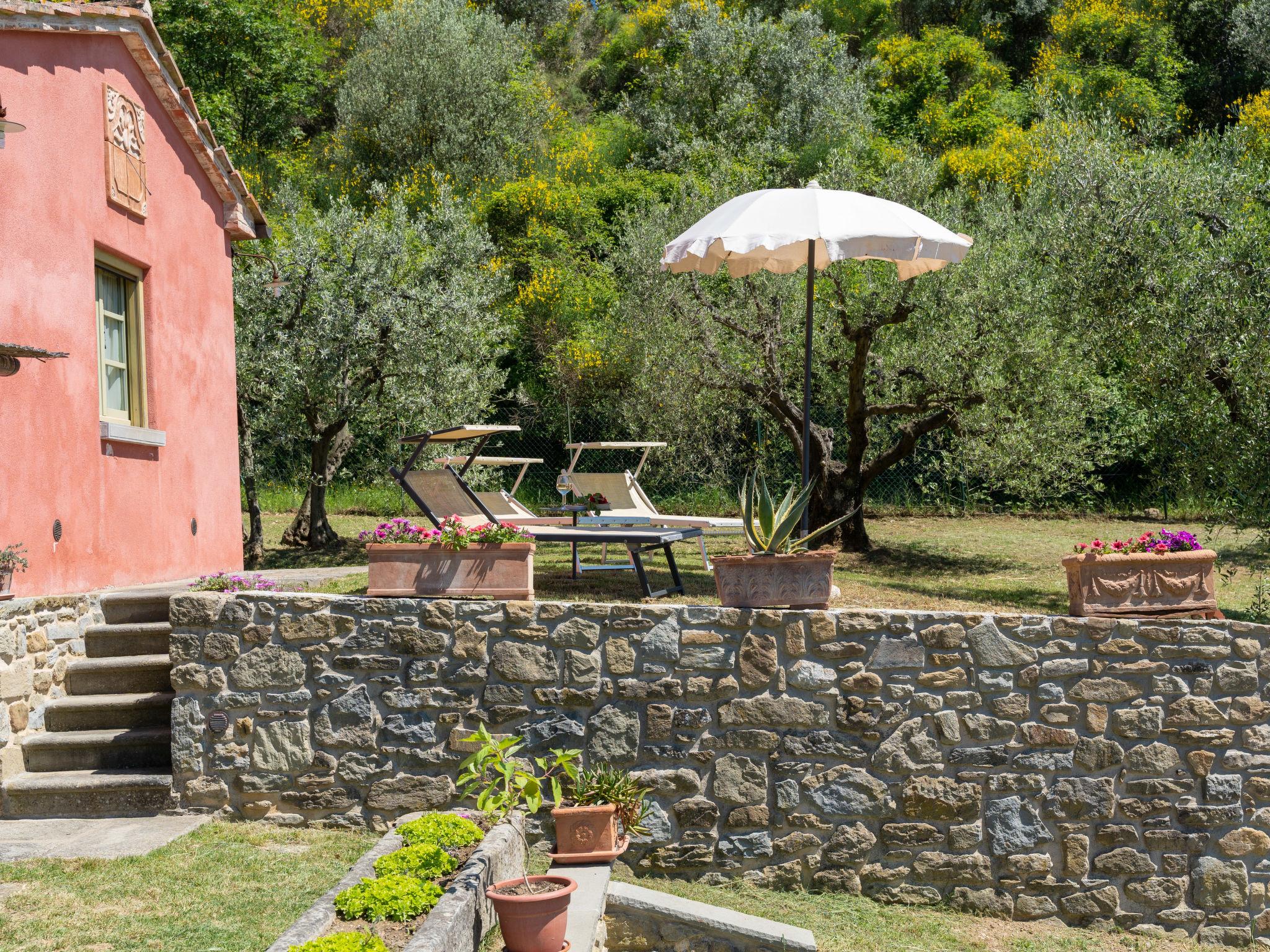 Foto 22 - Casa de 1 habitación en Castiglion Fiorentino con piscina privada y jardín