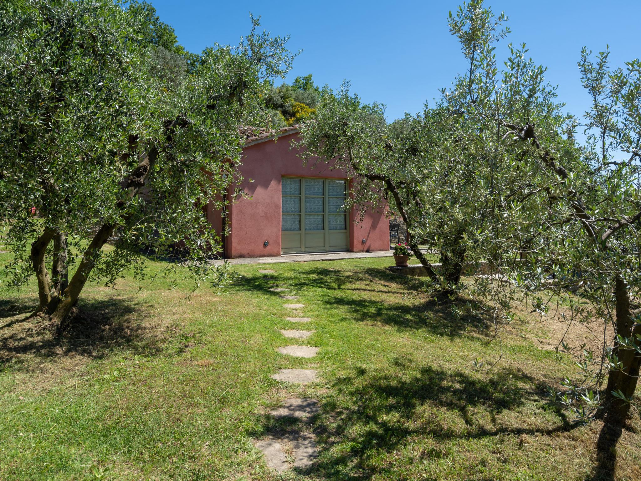 Foto 23 - Casa de 1 quarto em Castiglion Fiorentino com piscina privada e jardim