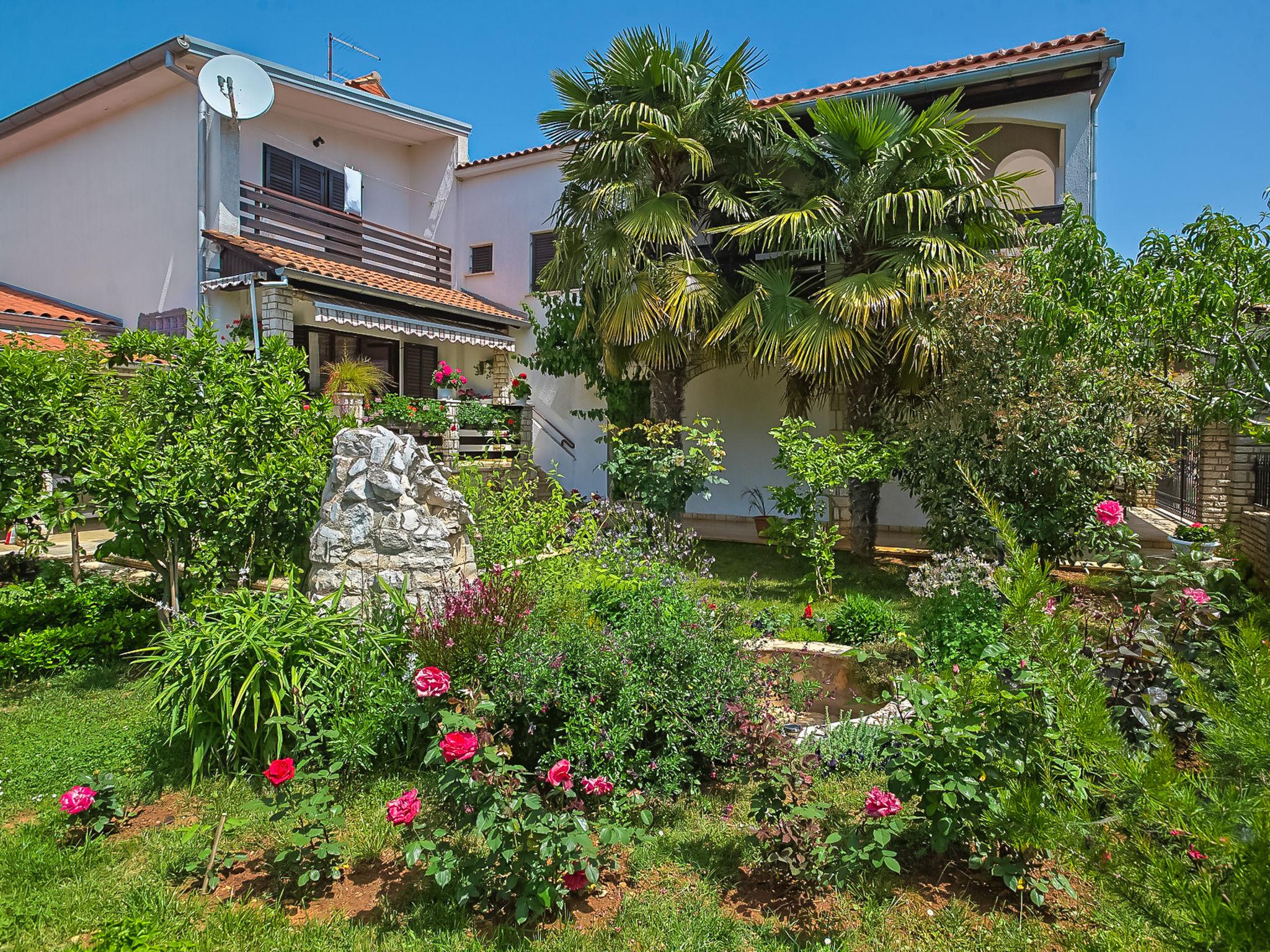 Photo 1 - Appartement de 2 chambres à Vodnjan avec jardin et terrasse