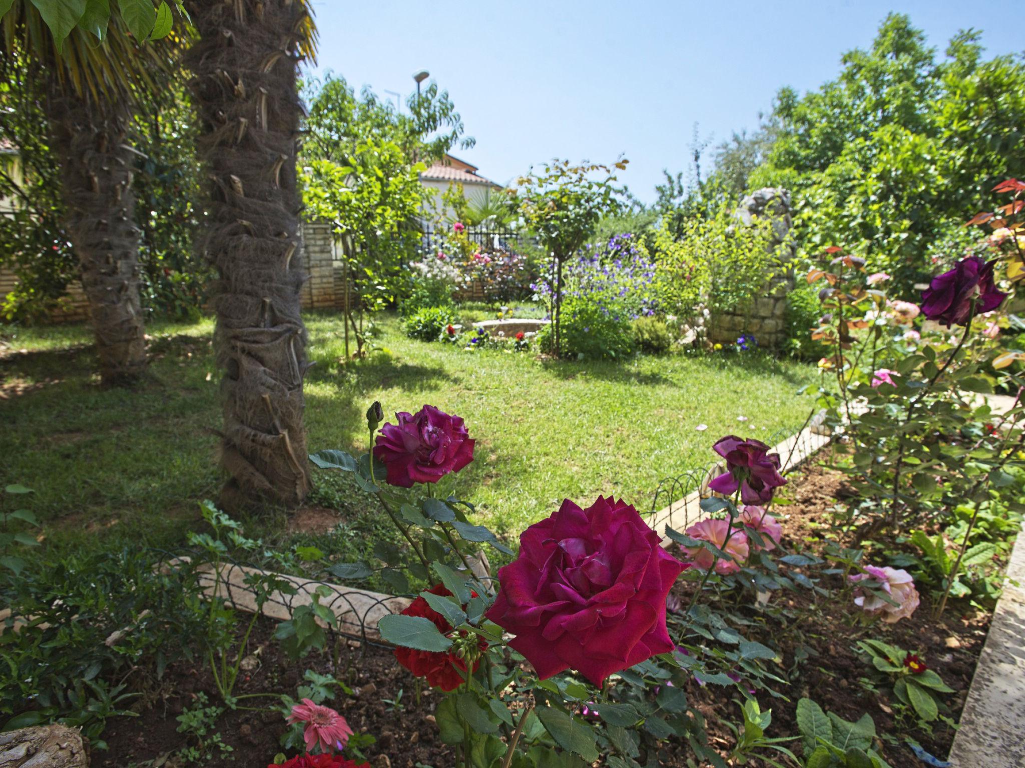 Photo 21 - Appartement de 2 chambres à Vodnjan avec jardin et terrasse