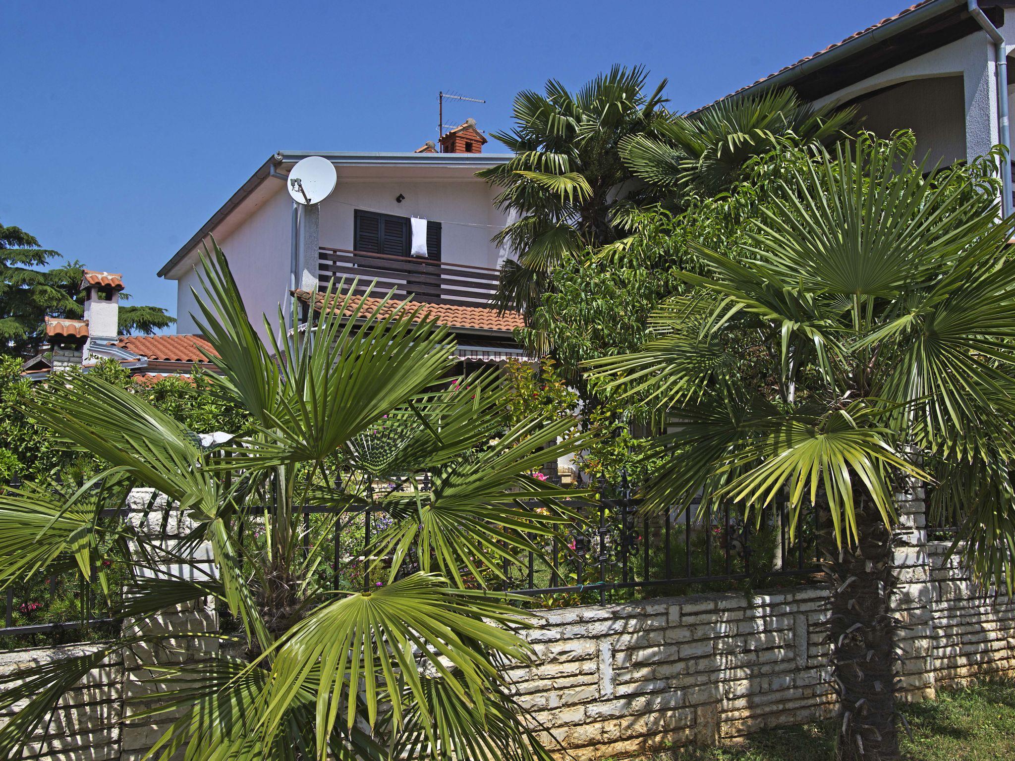 Foto 1 - Apartamento de 1 quarto em Vodnjan com jardim