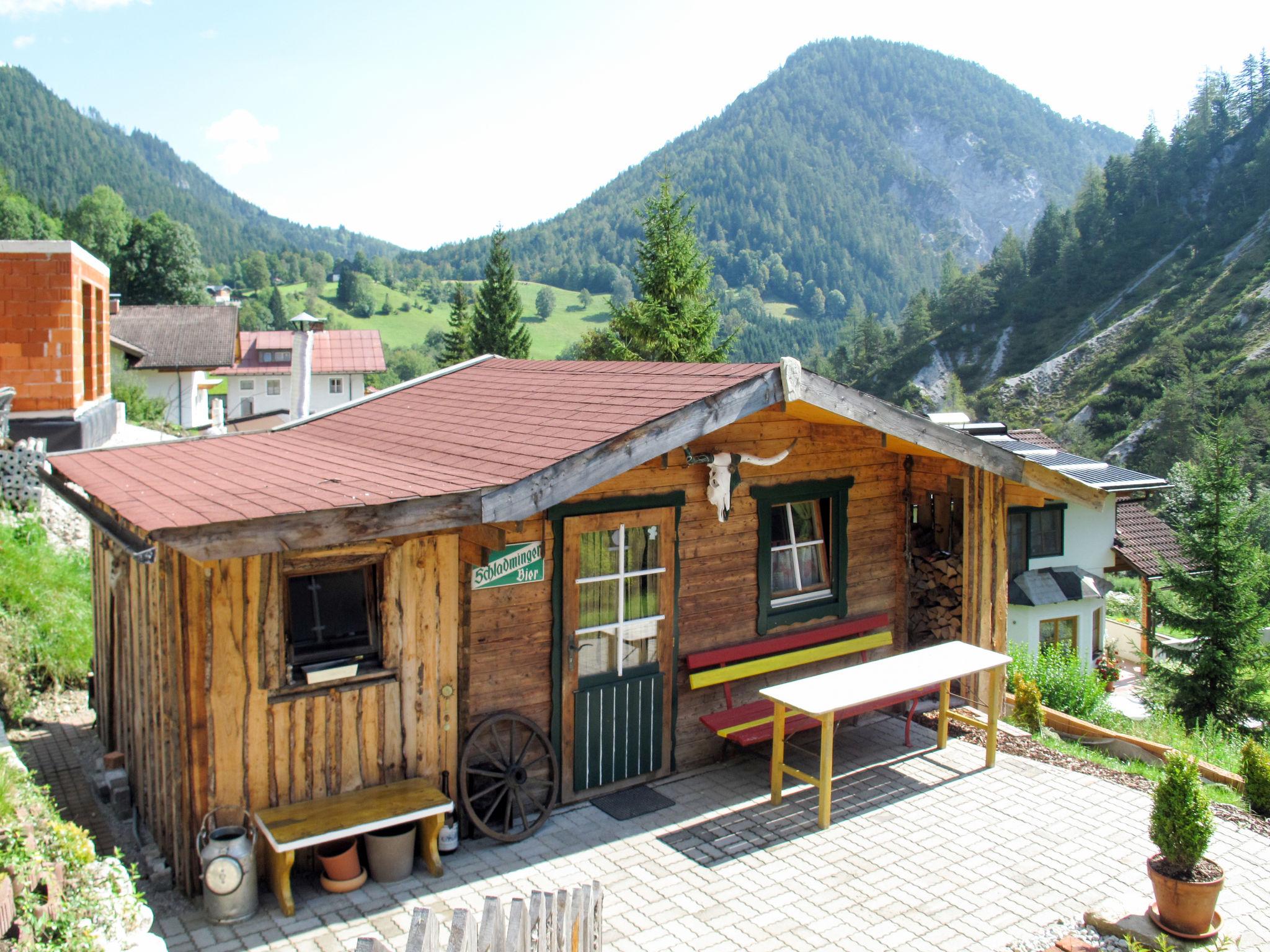 Foto 16 - Apartment mit 1 Schlafzimmer in Ramsau am Dachstein mit garten und blick auf die berge