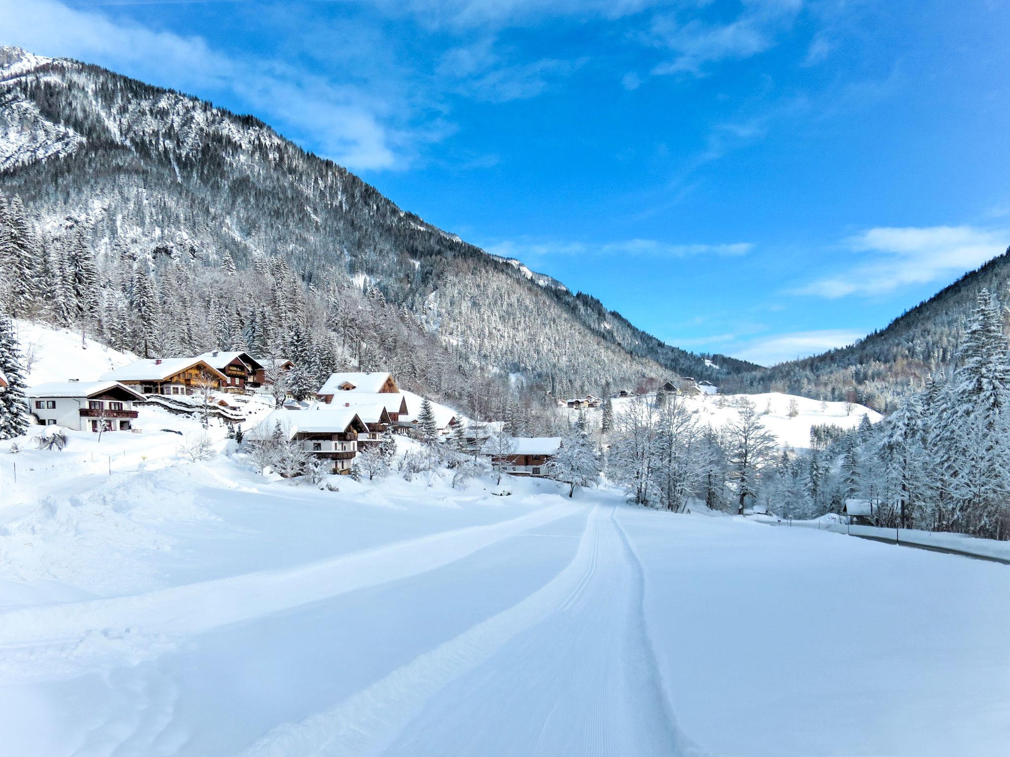 Photo 20 - Appartement de 1 chambre à Ramsau am Dachstein avec jardin et vues sur la montagne