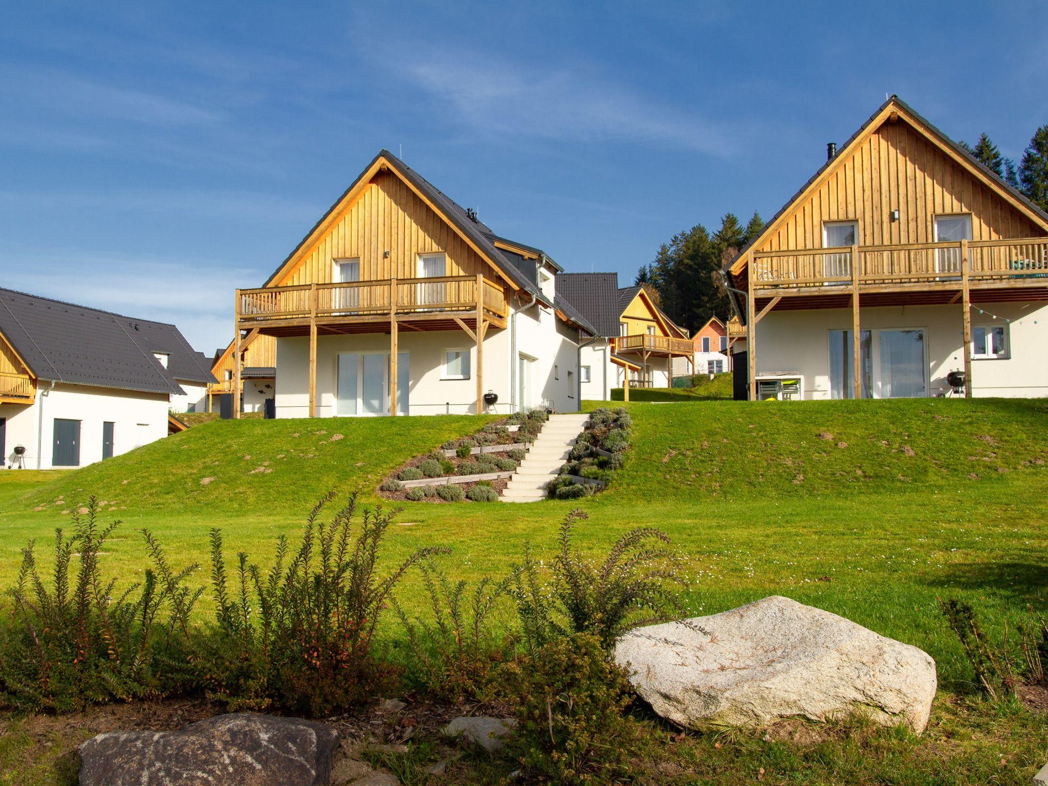 Foto 17 - Casa de 2 quartos em Frymburk com terraço e vista para a montanha