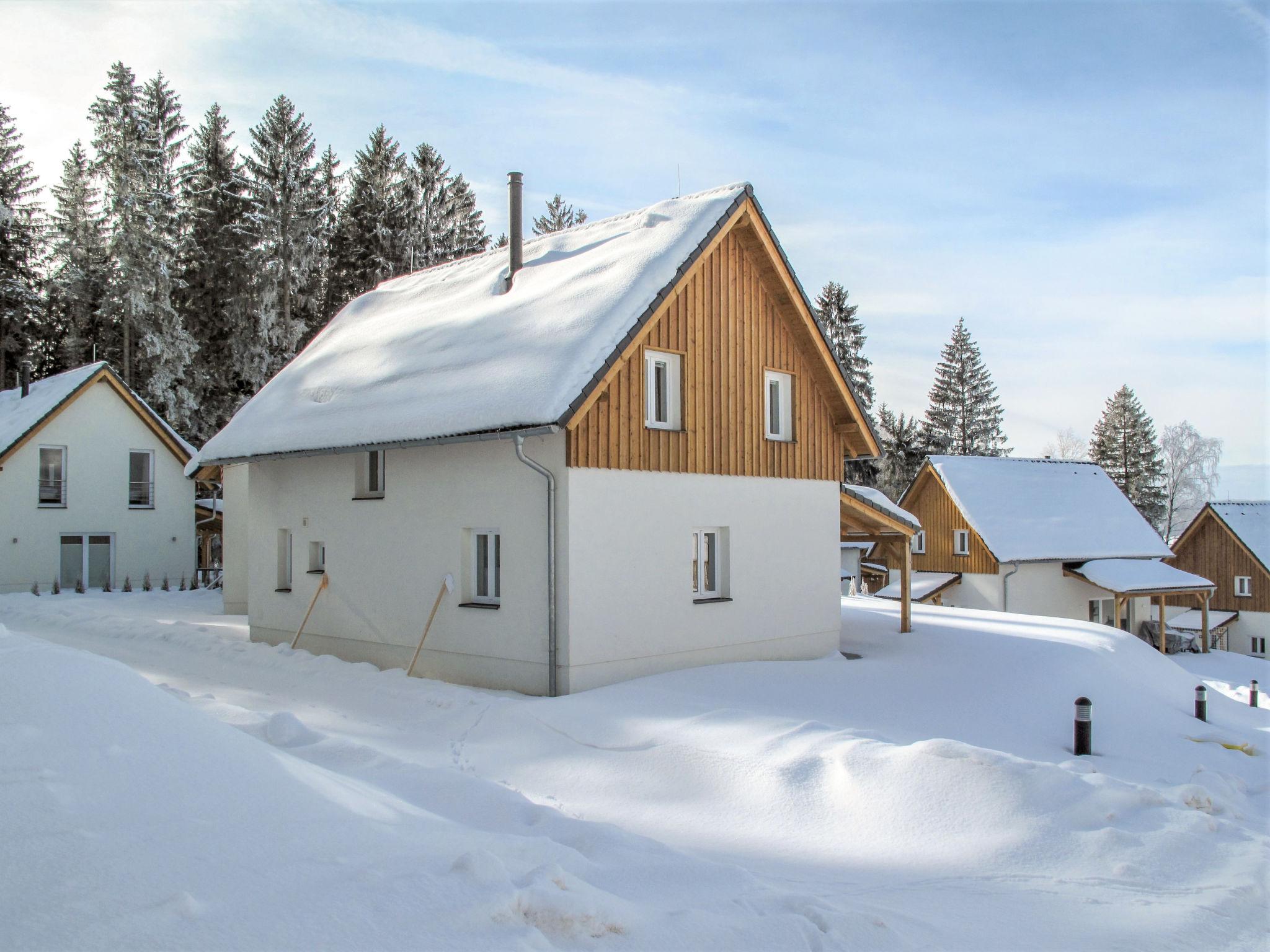 Photo 31 - 2 bedroom House in Frymburk with garden and terrace