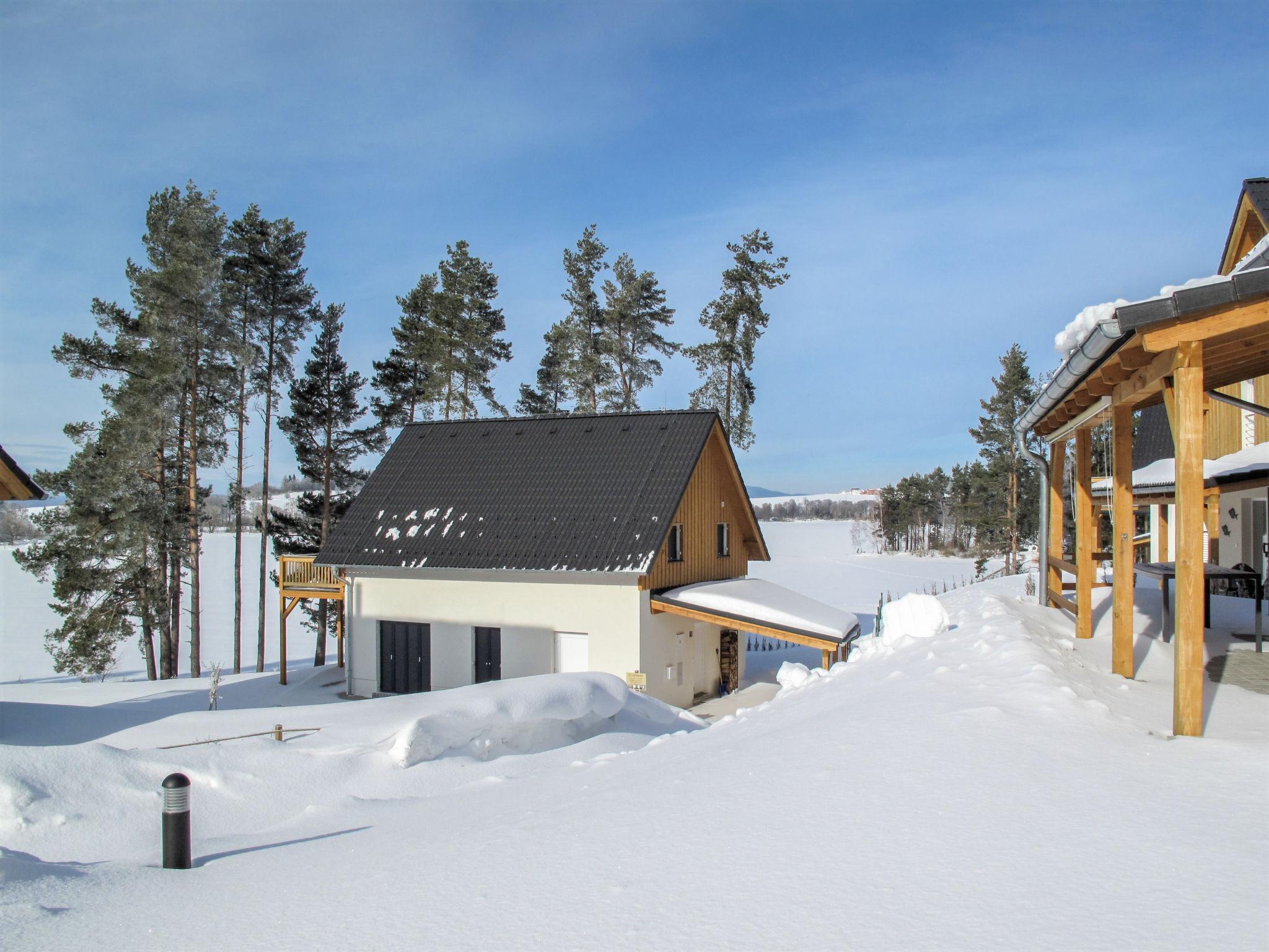 Photo 33 - 2 bedroom House in Frymburk with terrace and mountain view