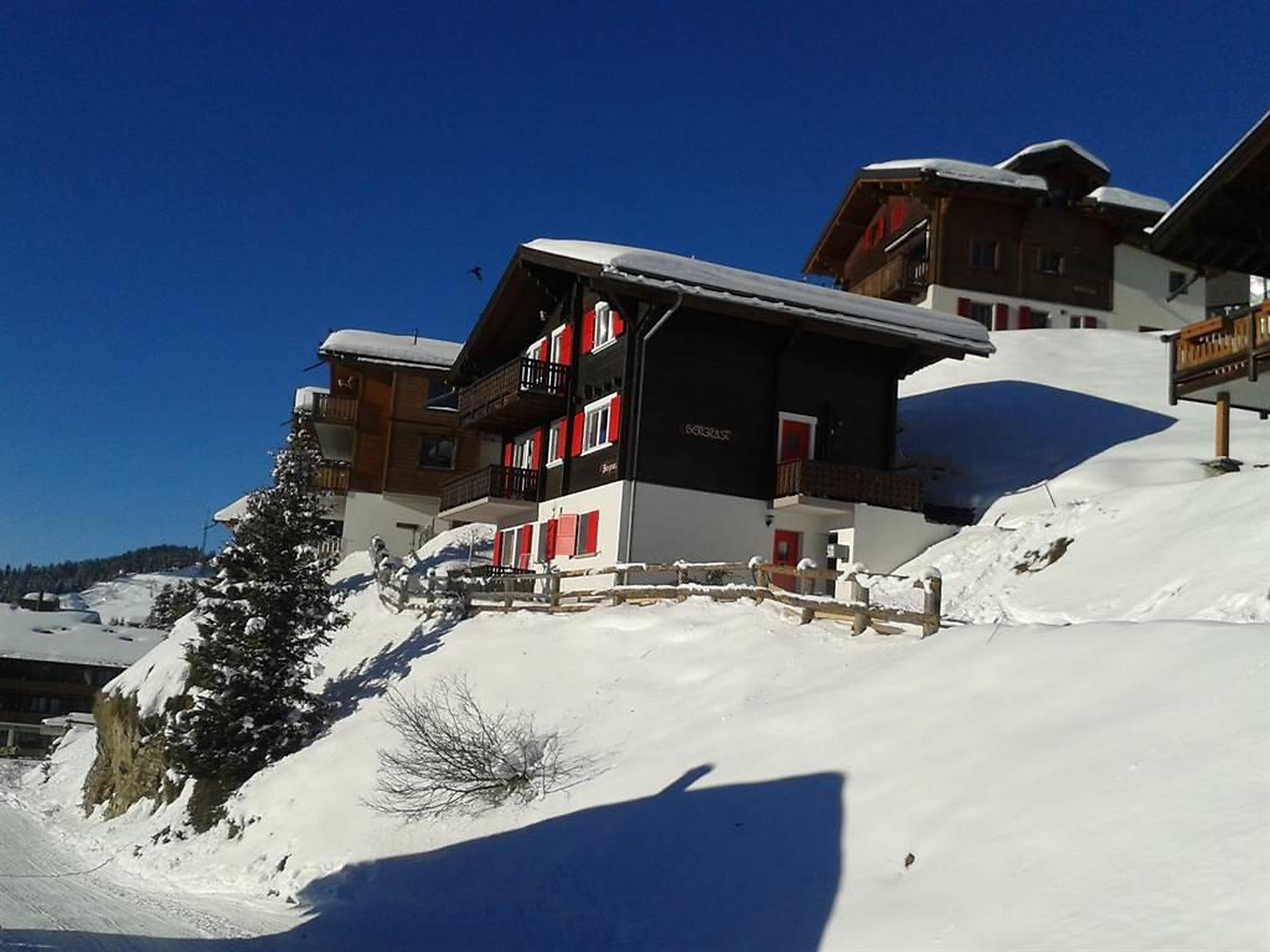 Foto 4 - Apartamento de 4 quartos em Bettmeralp