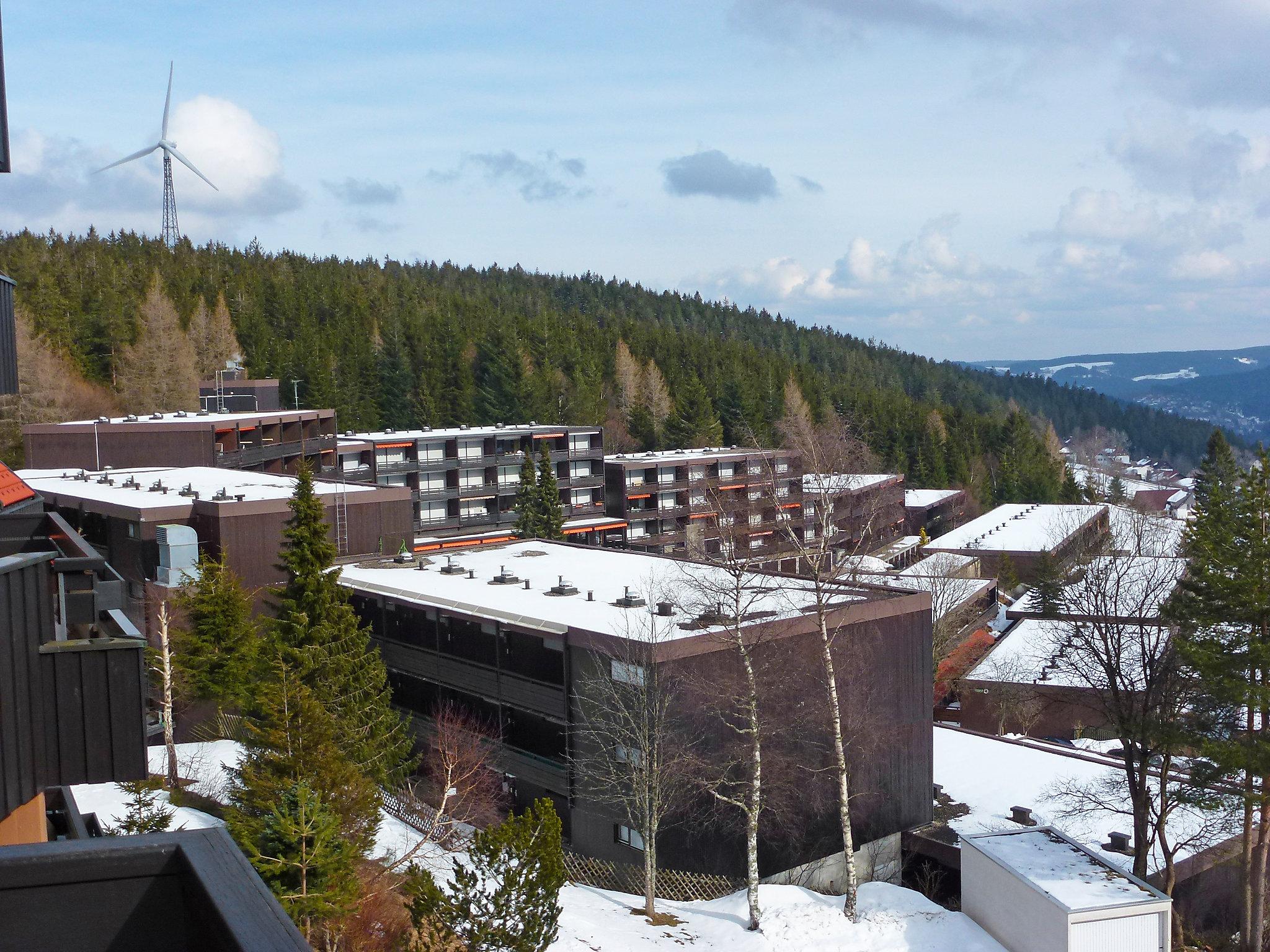 Foto 12 - Apartment mit 1 Schlafzimmer in Schonach im Schwarzwald mit schwimmbad und blick auf die berge