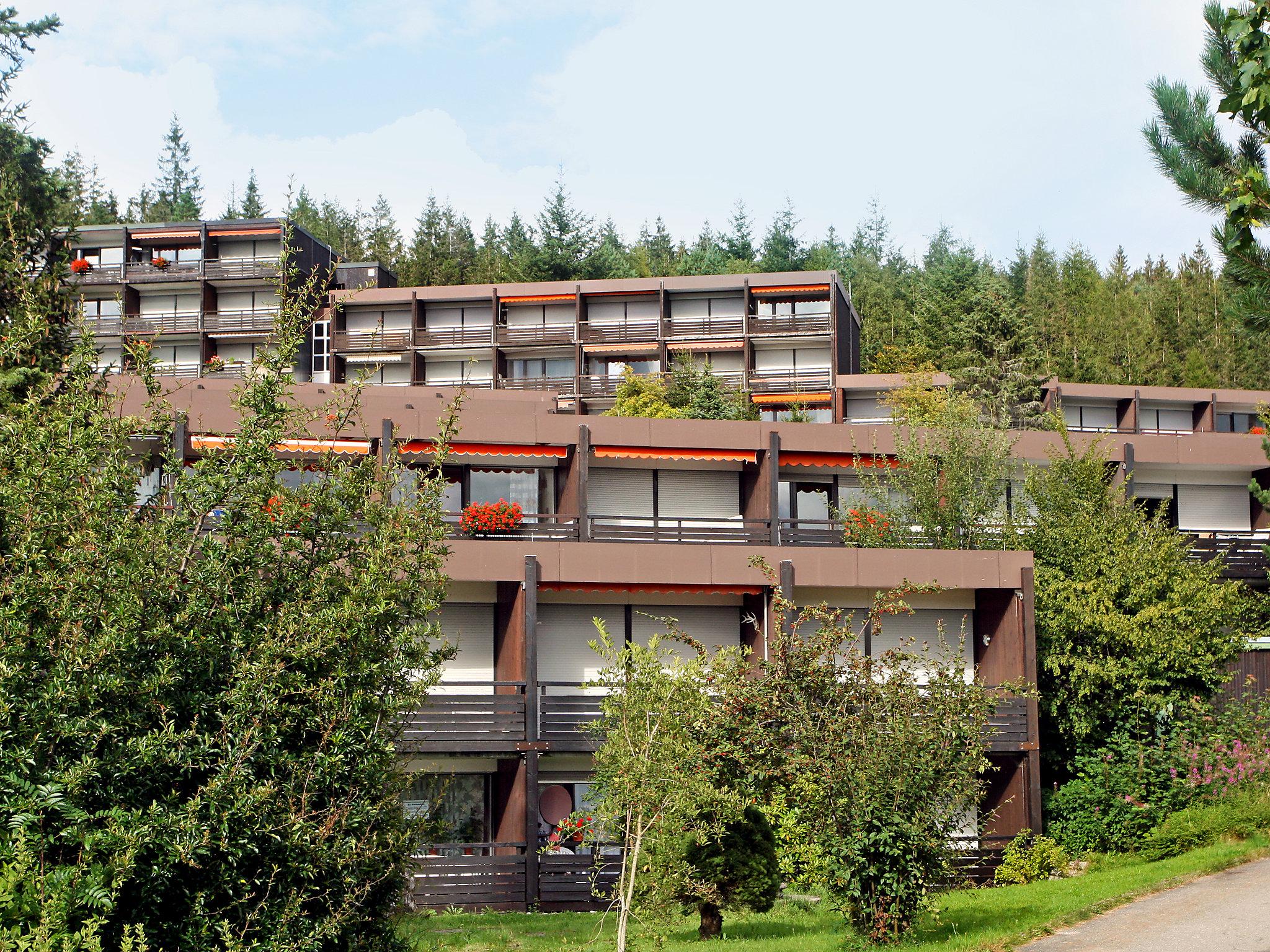 Foto 5 - Apartamento de 1 habitación en Schonach im Schwarzwald con piscina y vistas a la montaña