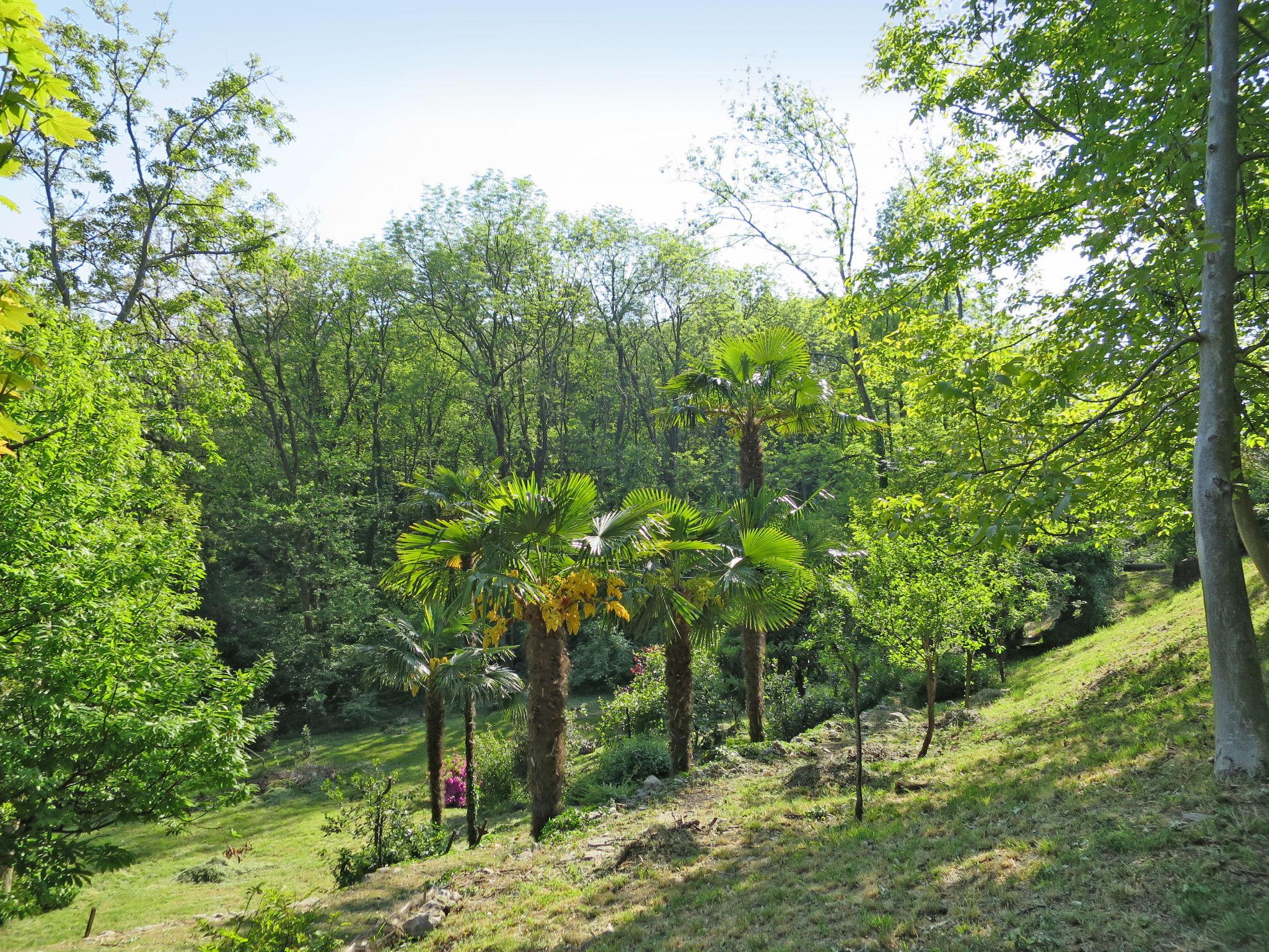 Photo 19 - 2 bedroom House in Leggiuno with garden and terrace