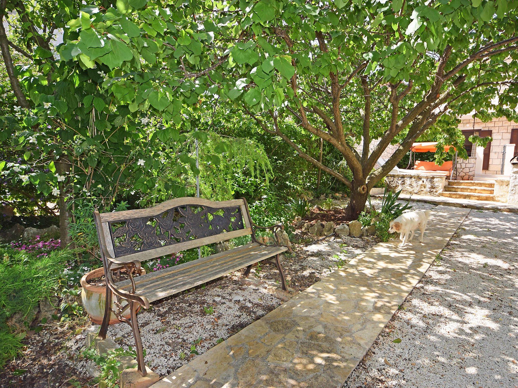 Photo 4 - Appartement de 3 chambres à Supetar avec piscine privée et terrasse