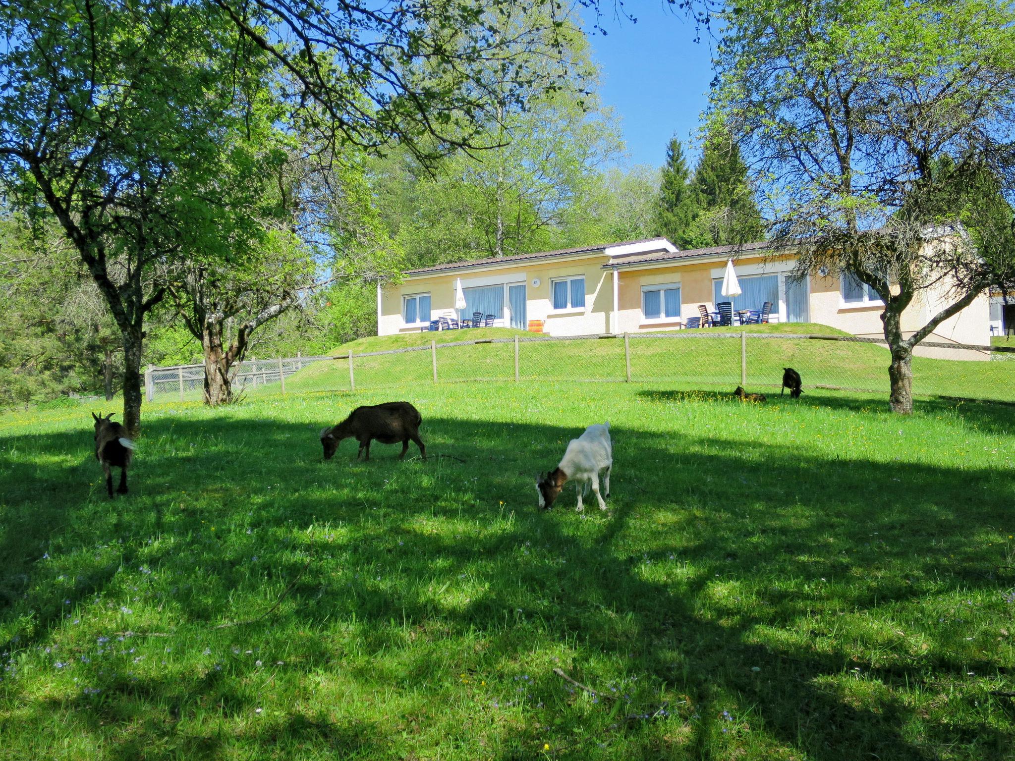 Foto 19 - Casa de 2 quartos em Maierhöfen com piscina e vista para a montanha