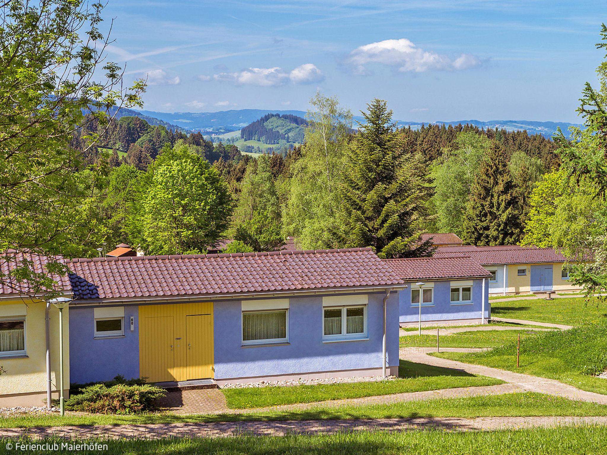 Foto 16 - Haus mit 2 Schlafzimmern in Maierhöfen mit schwimmbad und blick auf die berge