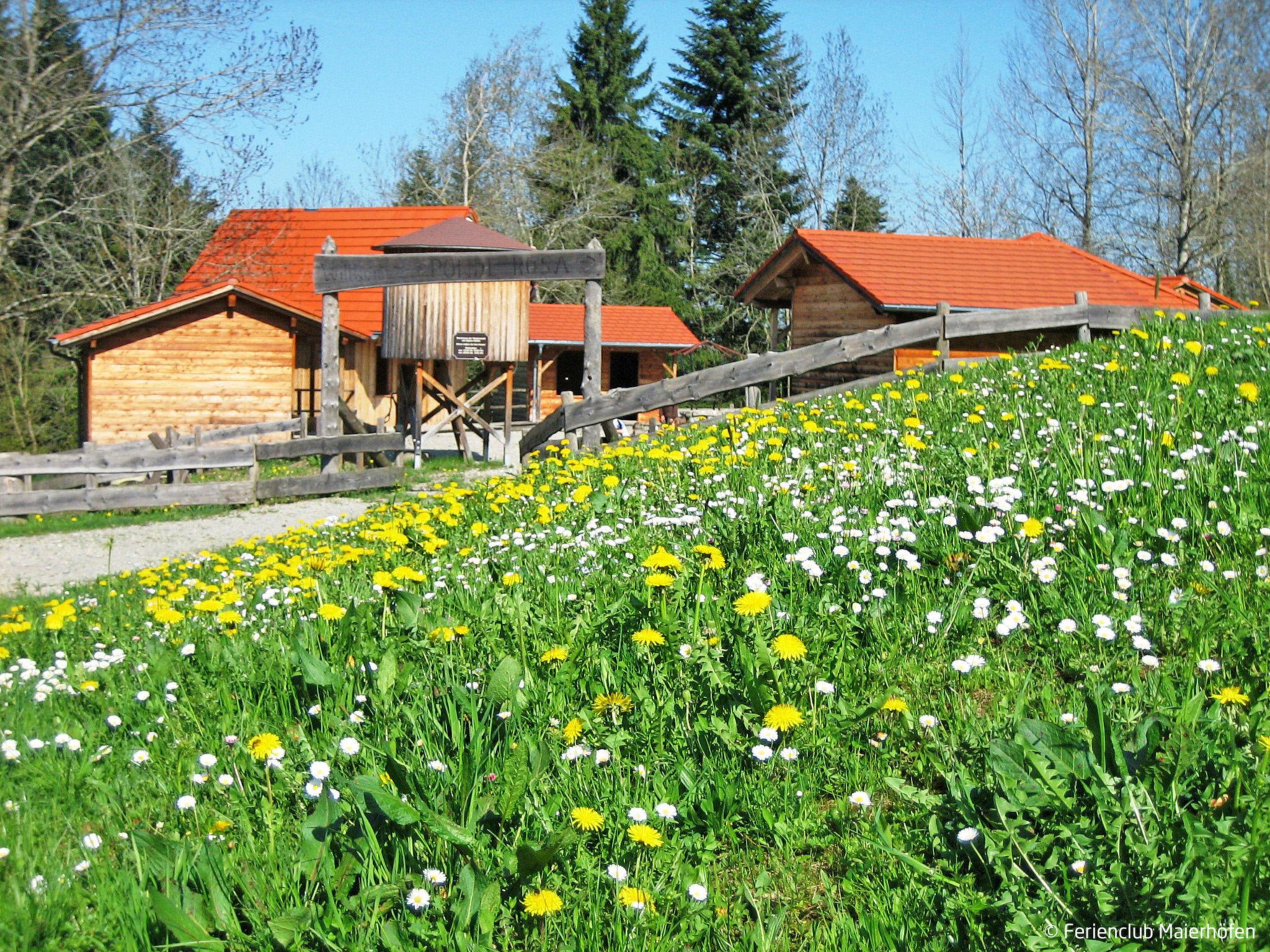 Foto 27 - Haus mit 2 Schlafzimmern in Maierhöfen mit schwimmbad und garten