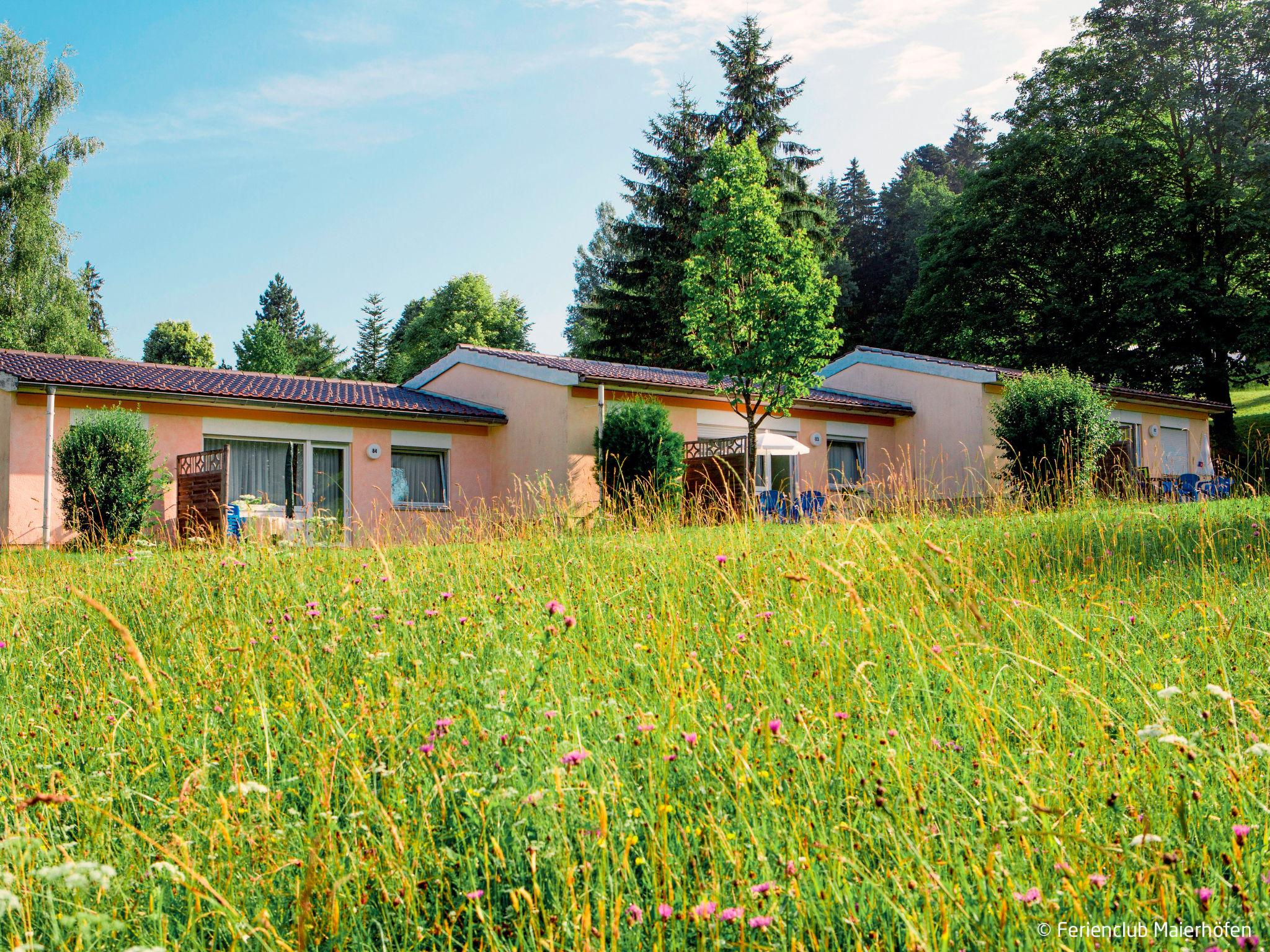 Foto 1 - Casa con 2 camere da letto a Maierhöfen con piscina e vista sulle montagne