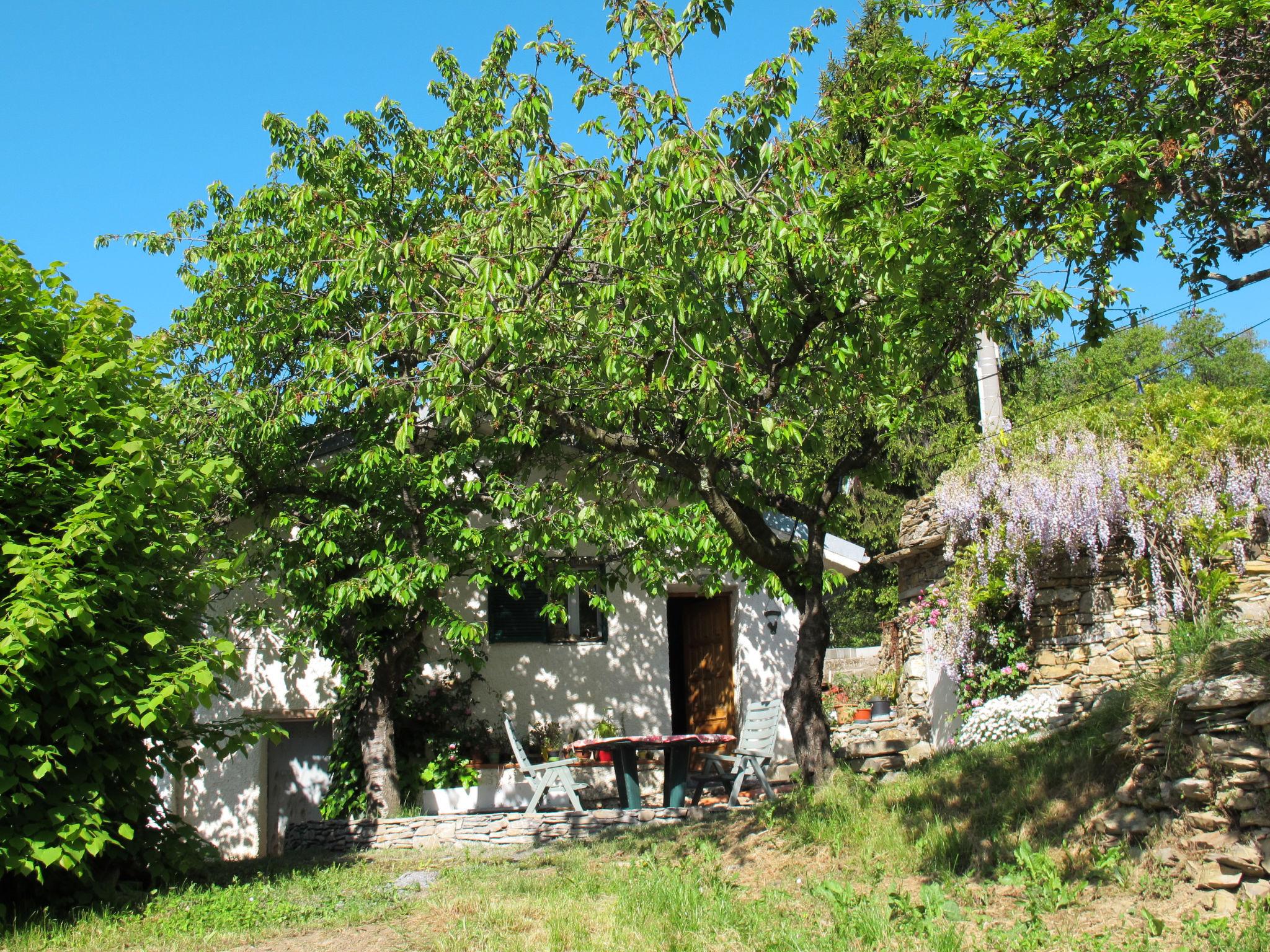 Photo 1 - Maison de 2 chambres à Aurigo avec jardin et terrasse