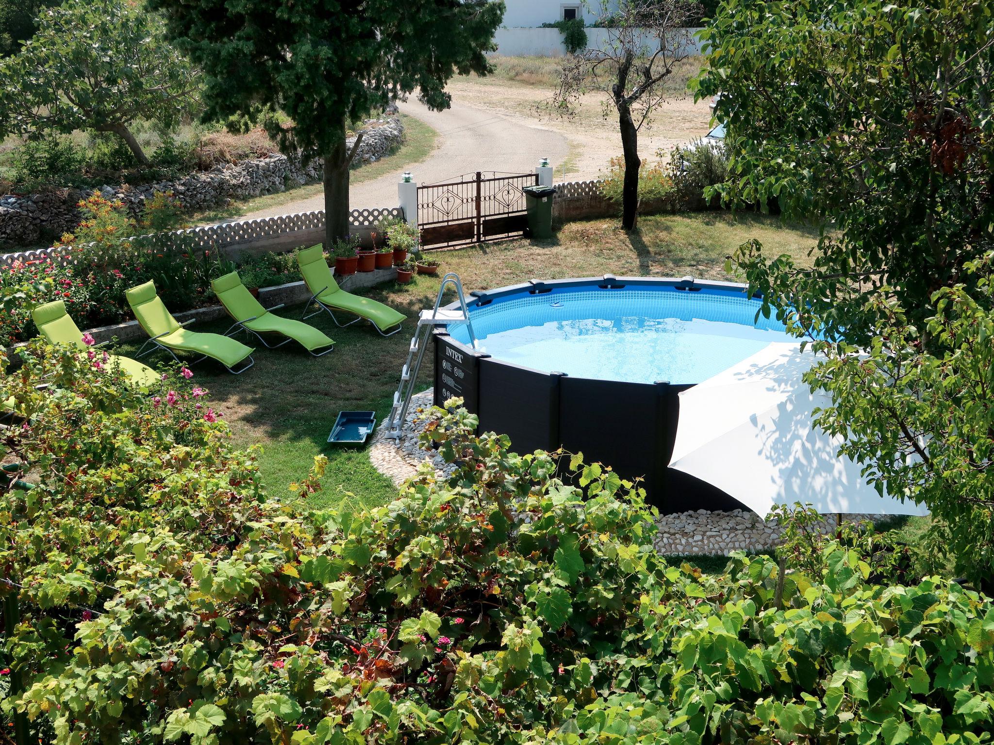 Photo 5 - 2 bedroom House in Marčana with private pool and sea view