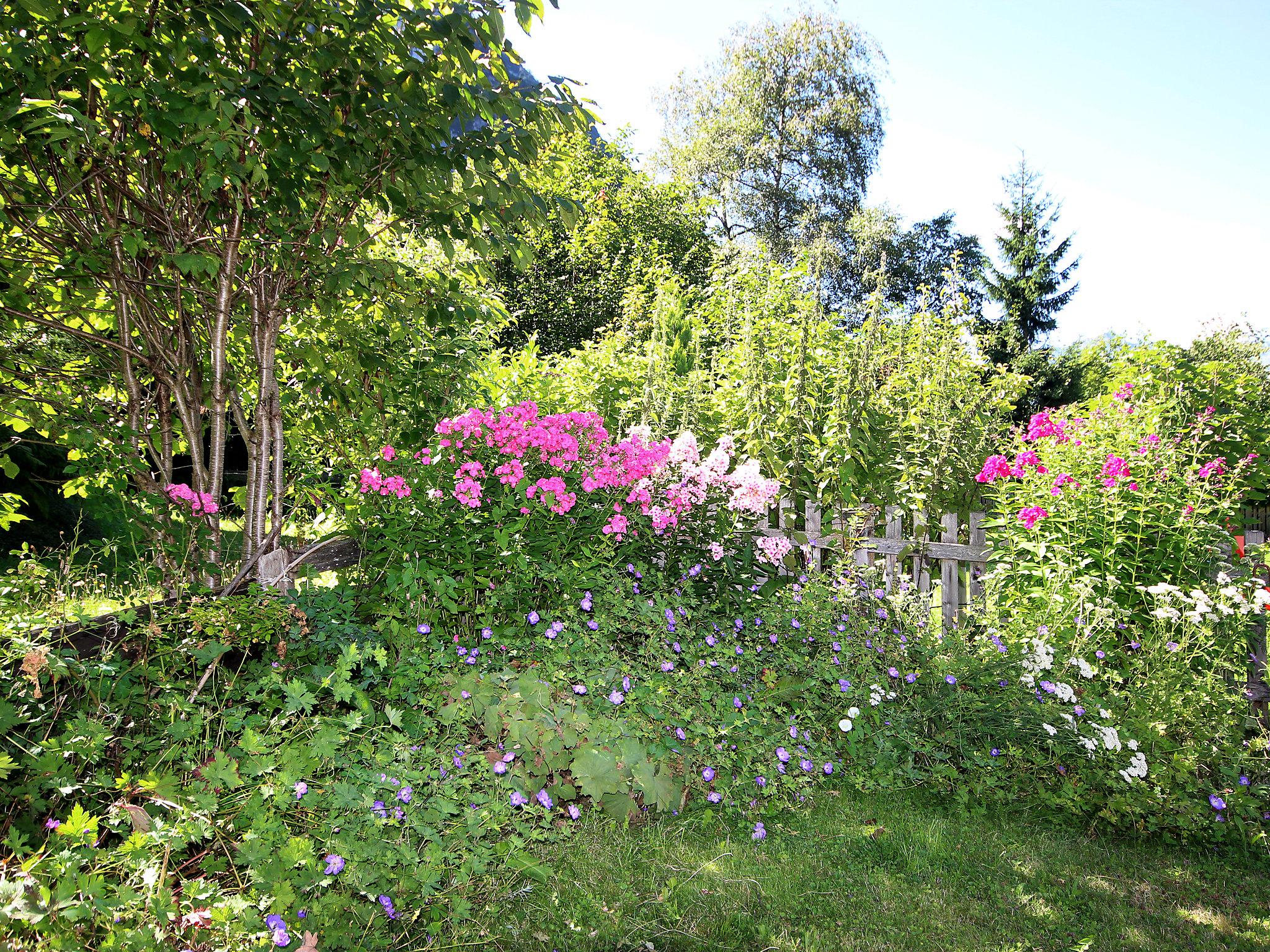 Photo 43 - 3 bedroom Apartment in Eben am Achensee with garden and mountain view