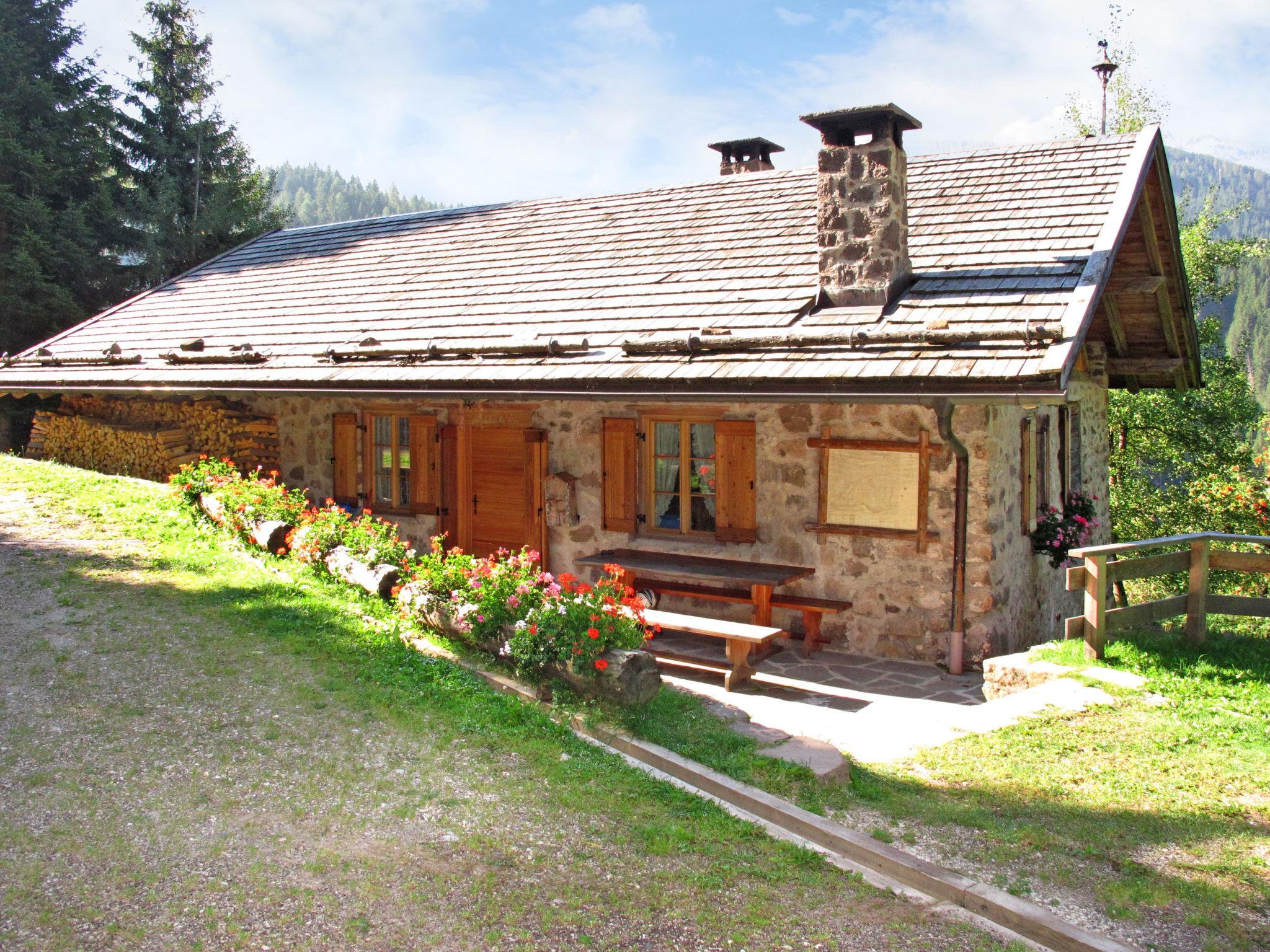 Foto 1 - Casa de 2 habitaciones en Predazzo con terraza y vistas a la montaña