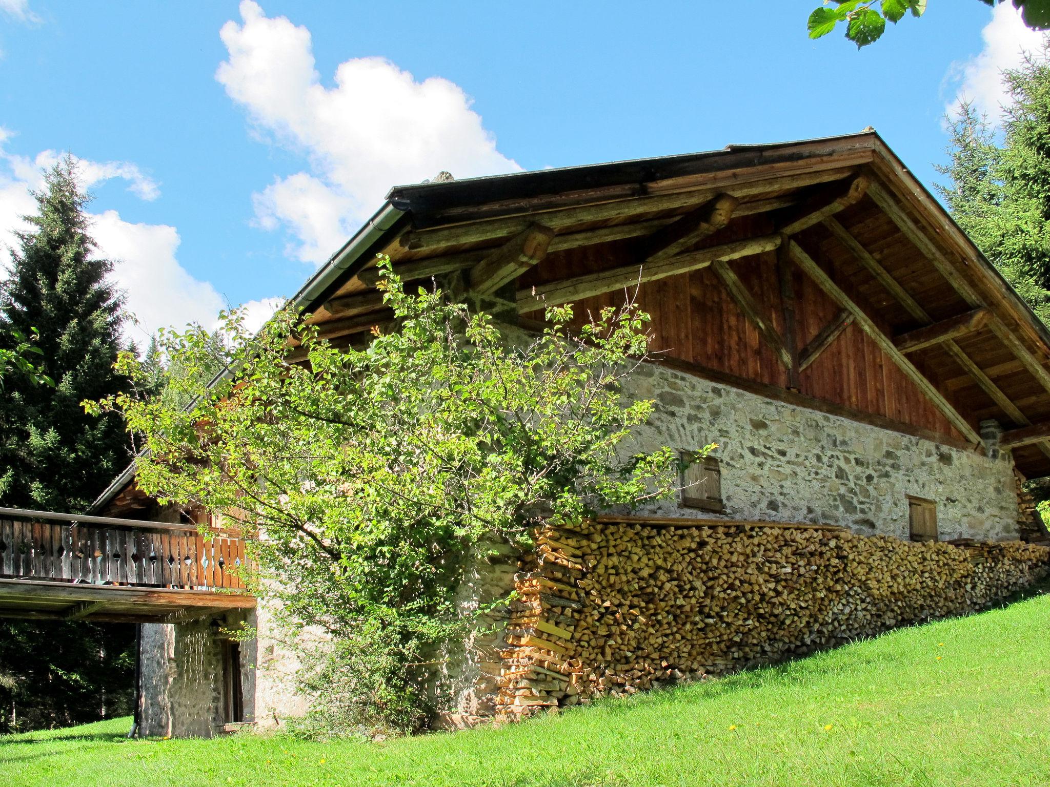 Photo 25 - Maison de 2 chambres à Predazzo avec jardin et terrasse