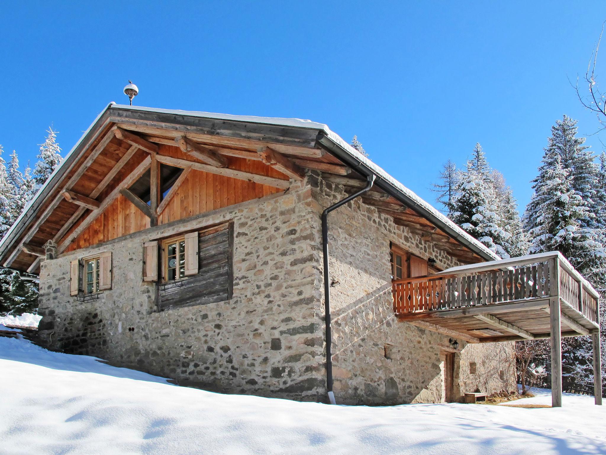 Photo 33 - Maison de 2 chambres à Predazzo avec jardin et terrasse