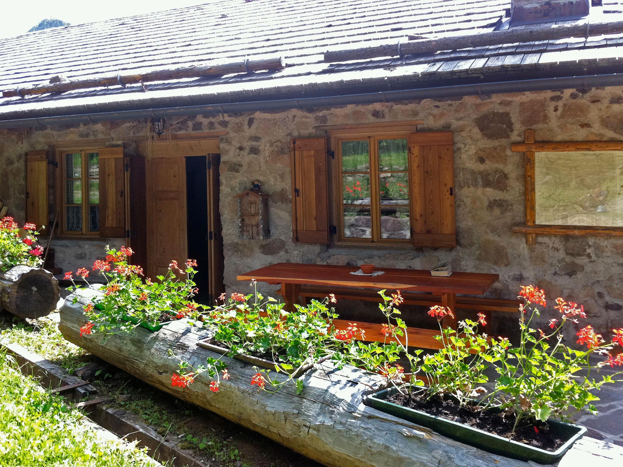 Foto 26 - Casa de 2 habitaciones en Predazzo con terraza y vistas a la montaña