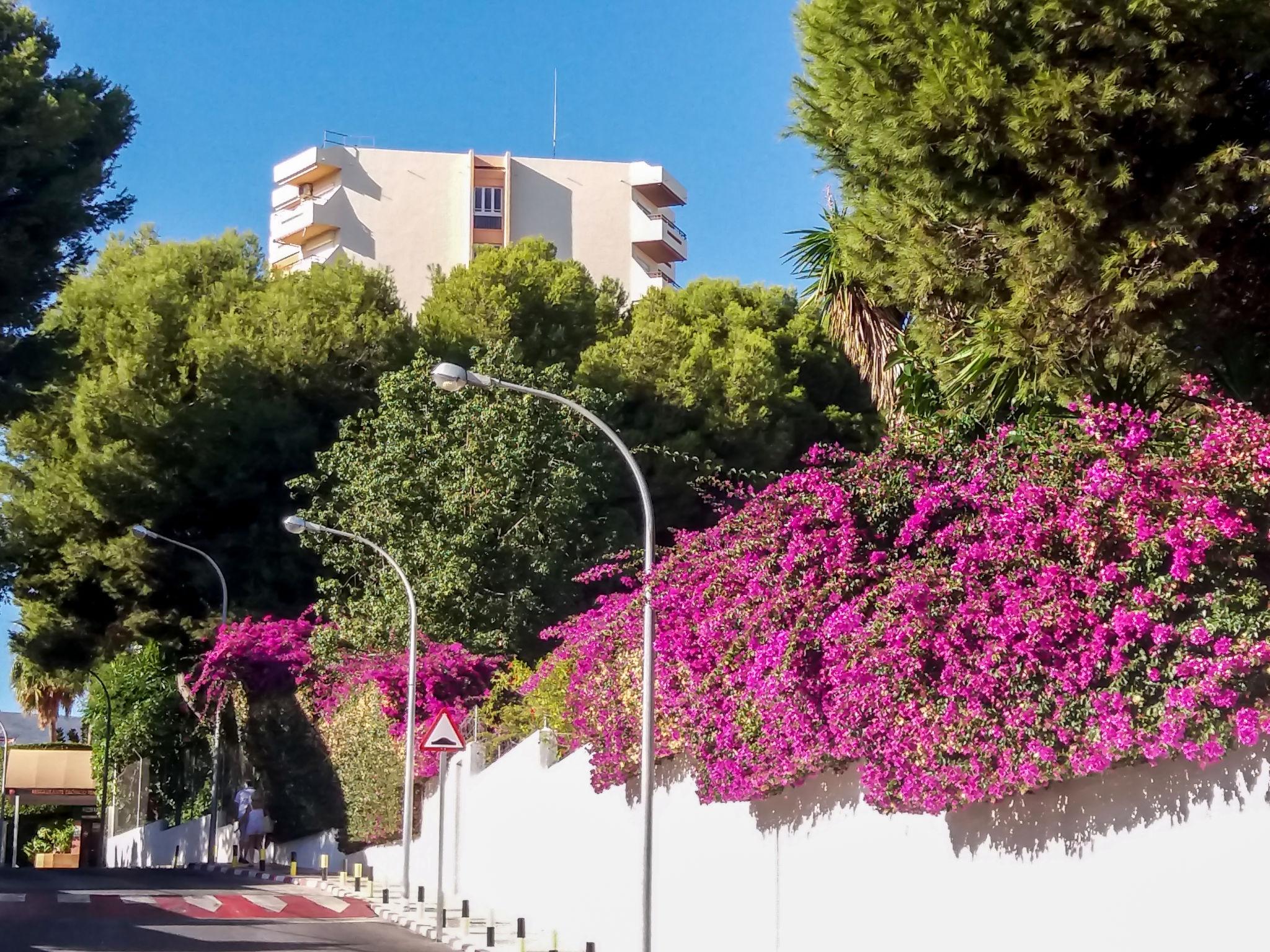 Foto 23 - Apartamento de 1 habitación en Torremolinos con piscina y vistas al mar