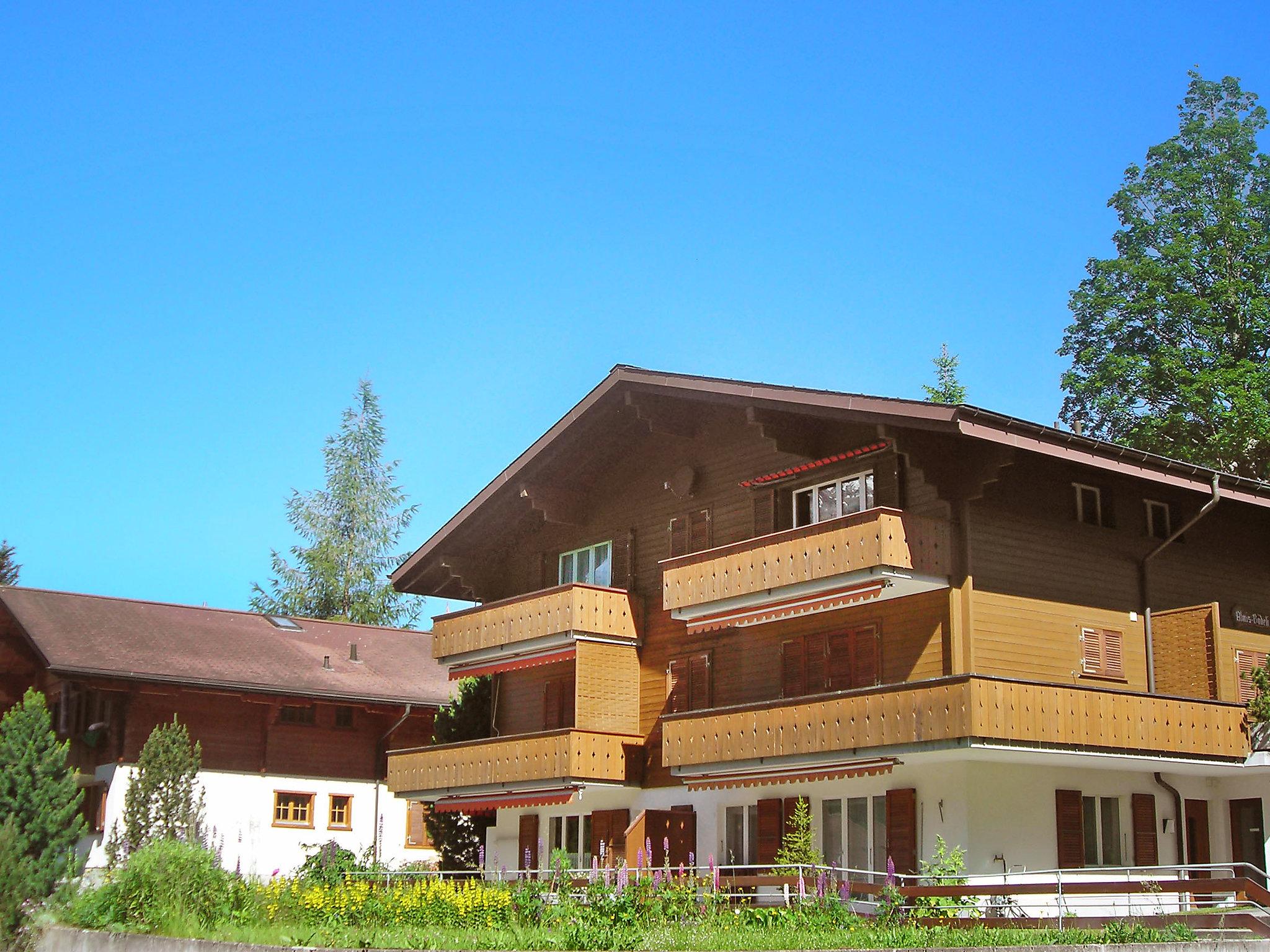 Photo 1 - Appartement de 1 chambre à Grindelwald avec jardin et terrasse