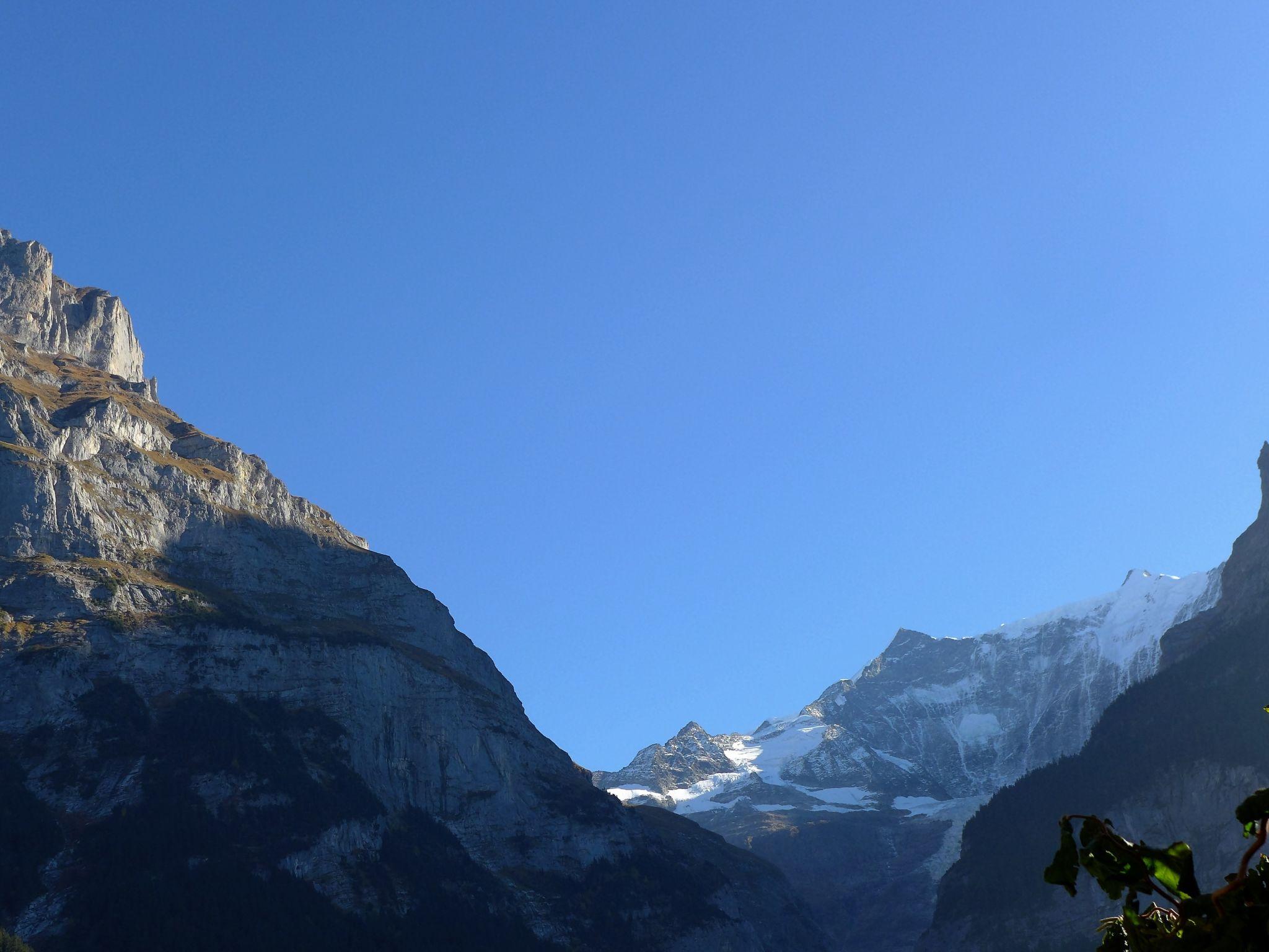 Foto 8 - Apartamento de 1 quarto em Grindelwald com jardim e terraço