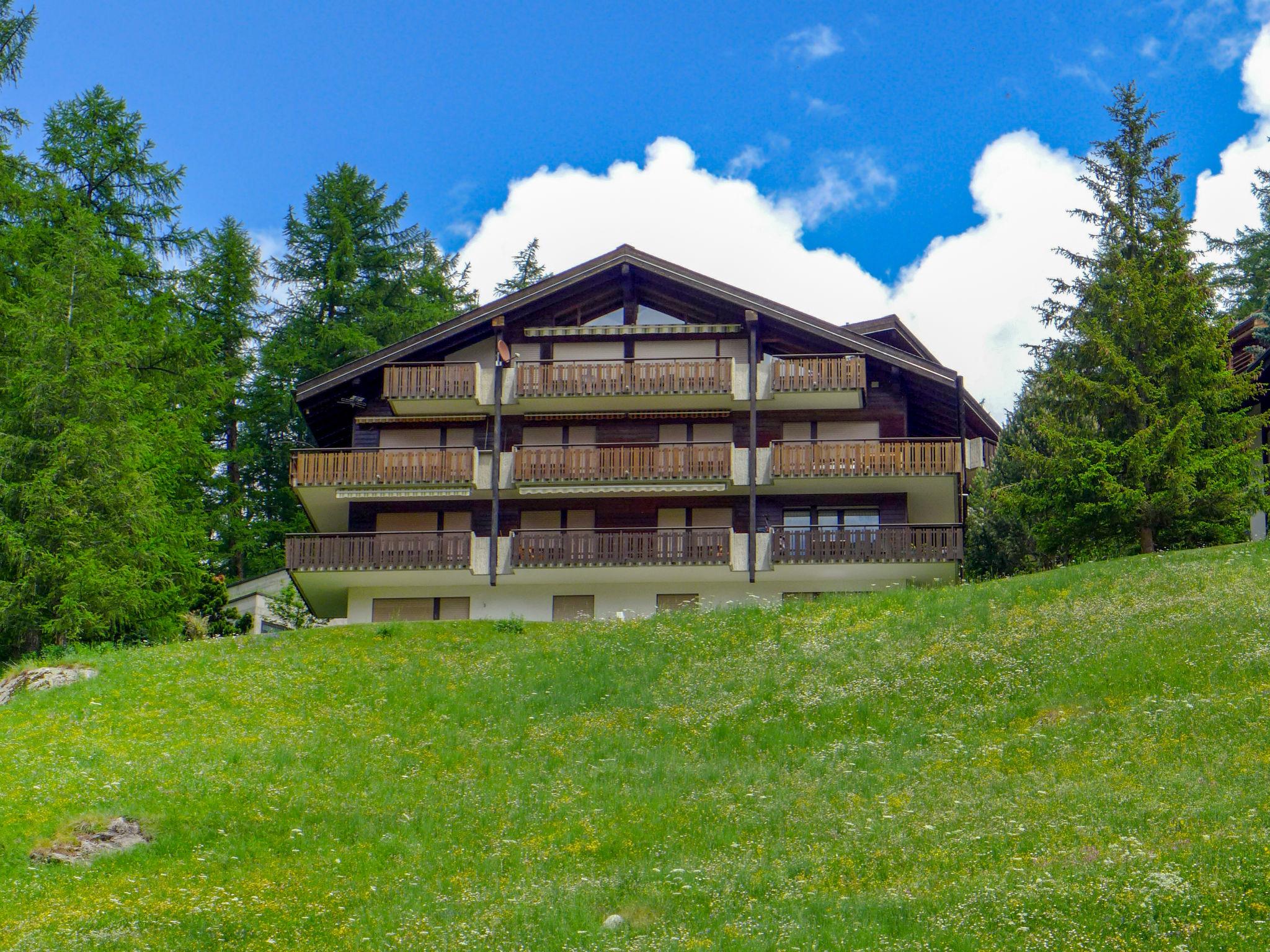 Foto 2 - Apartment mit 2 Schlafzimmern in Zermatt mit blick auf die berge