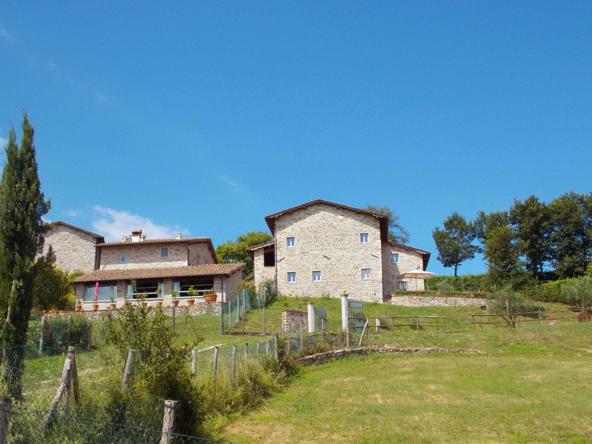 Photo 34 - 7 bedroom House in Barberino di Mugello with private pool and garden