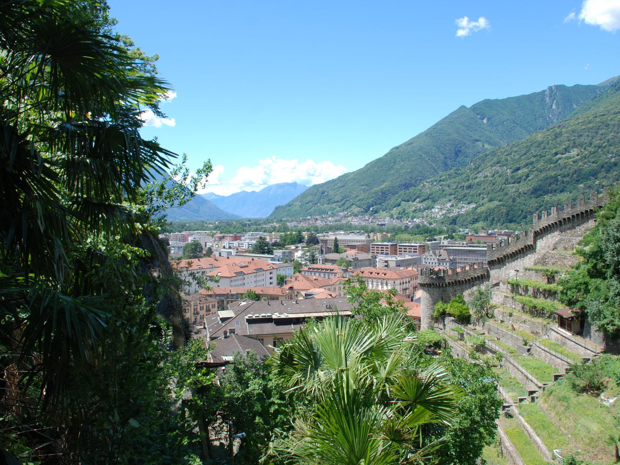 Foto 33 - Casa con 2 camere da letto a Bellinzona con giardino e terrazza