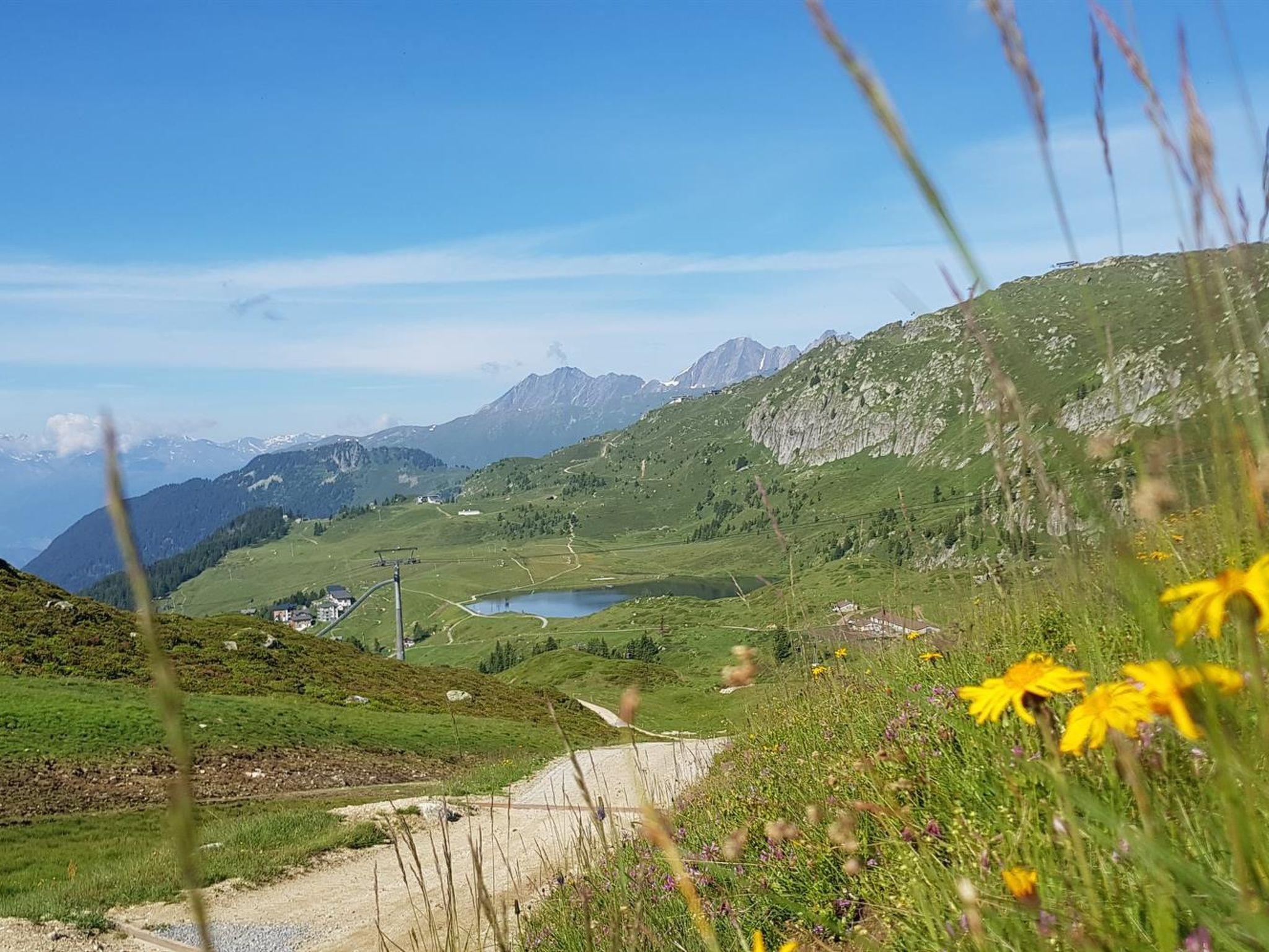 Photo 21 - 2 bedroom Apartment in Fiesch