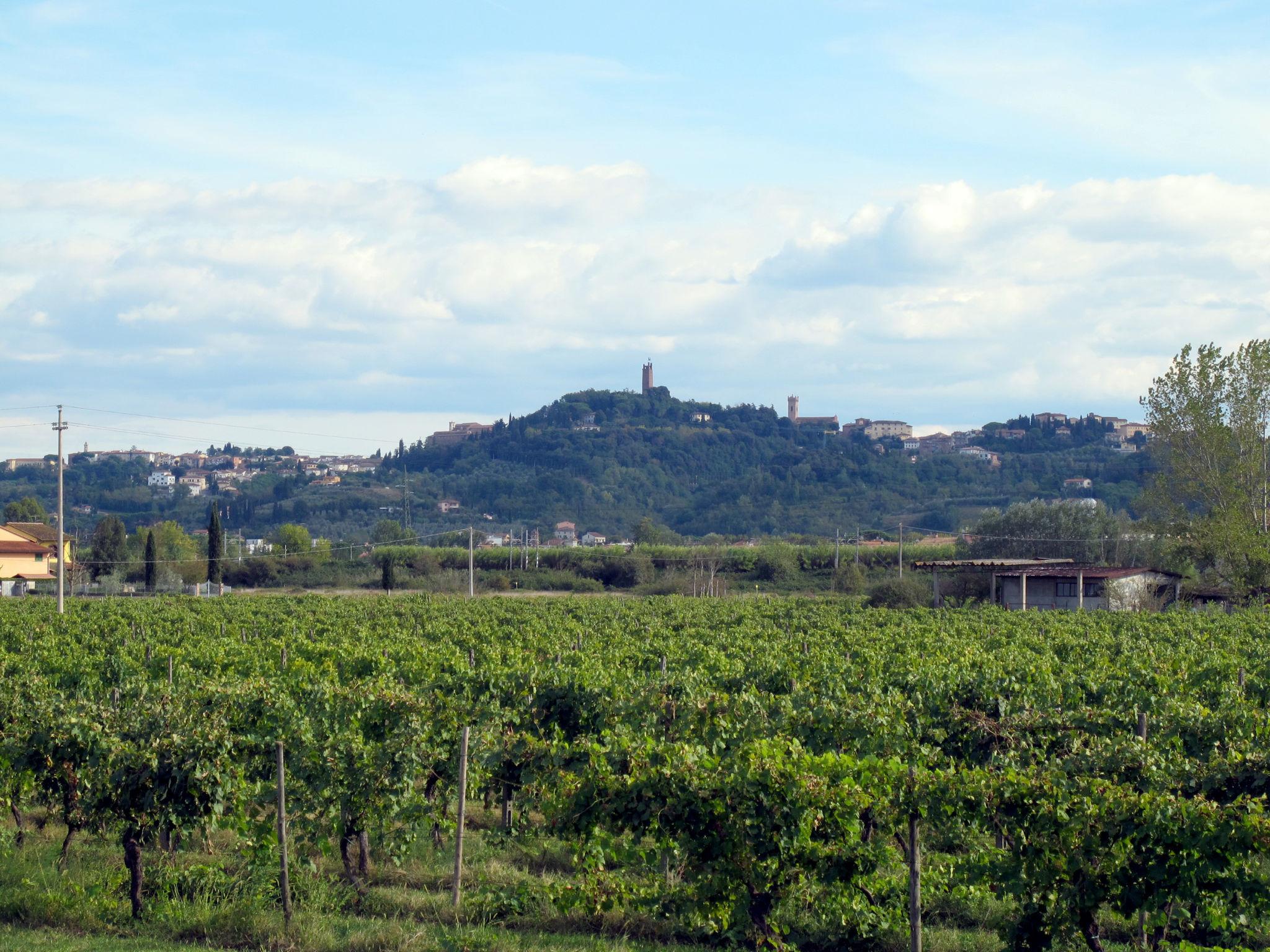 Photo 75 - 6 bedroom House in San Miniato with private pool and garden