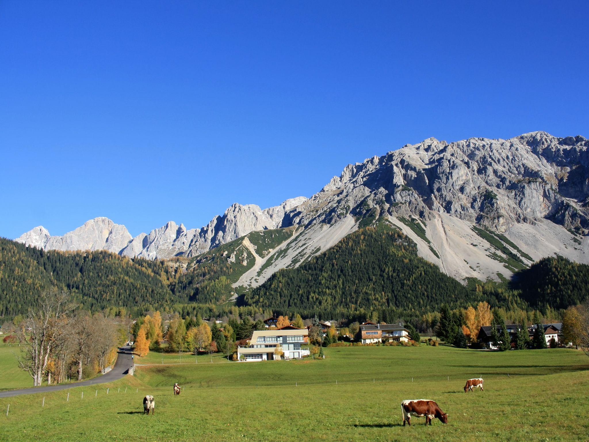 Photo 15 - Appartement de 1 chambre à Ramsau am Dachstein avec terrasse