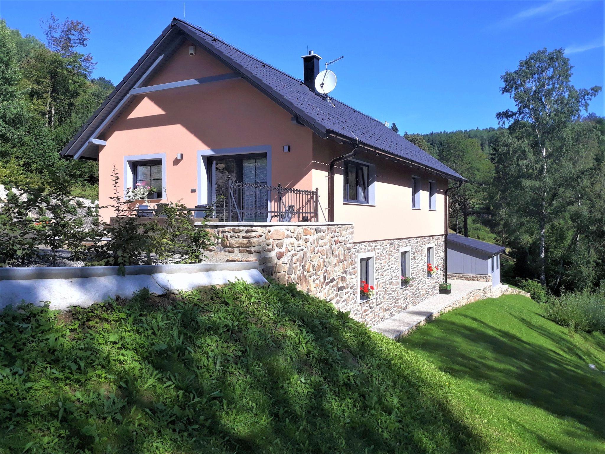 Photo 22 - Maison de 5 chambres à Nebahovy avec piscine privée et jardin