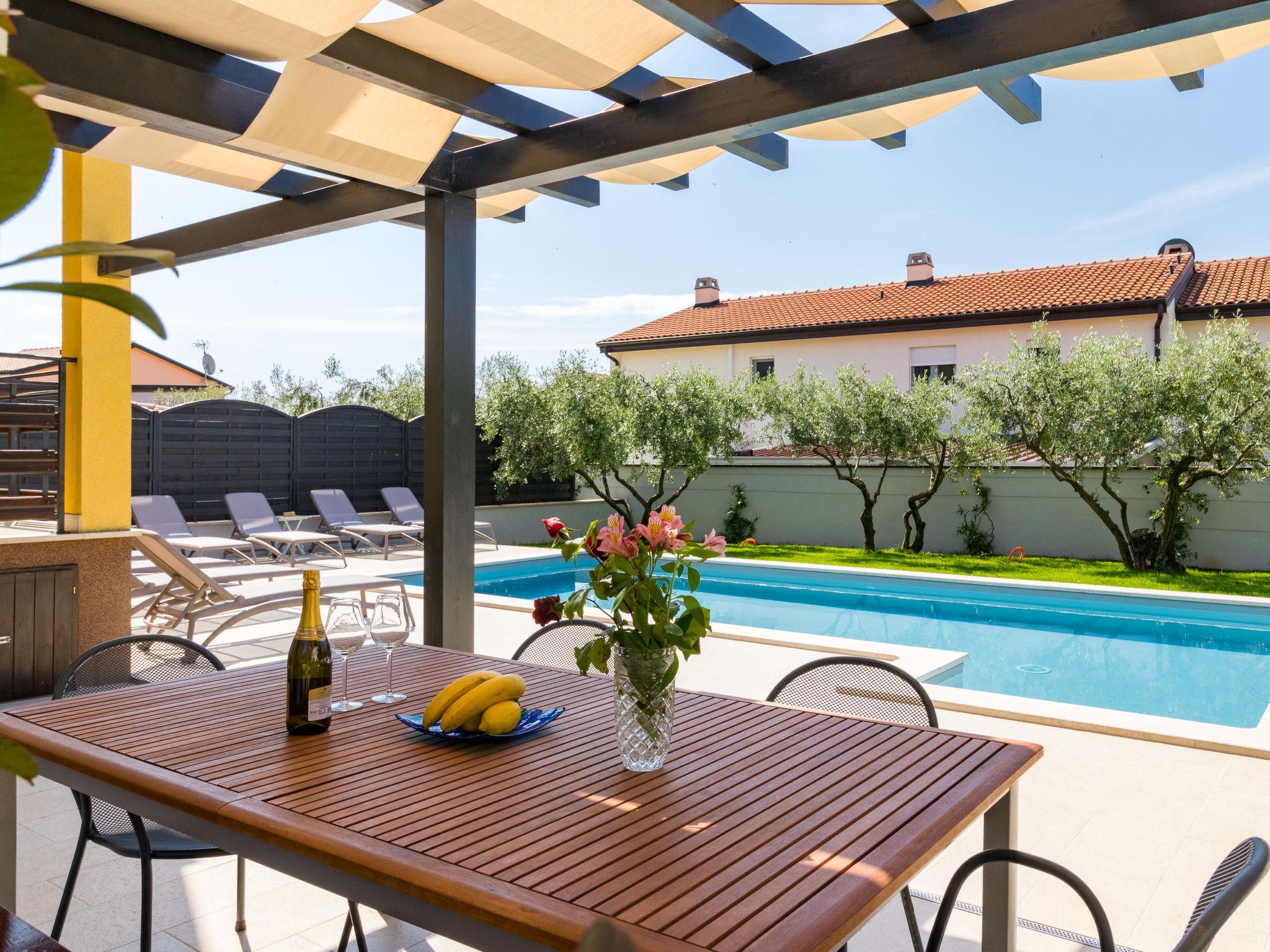 Photo 11 - Maison de 4 chambres à Novigrad avec piscine privée et vues à la mer