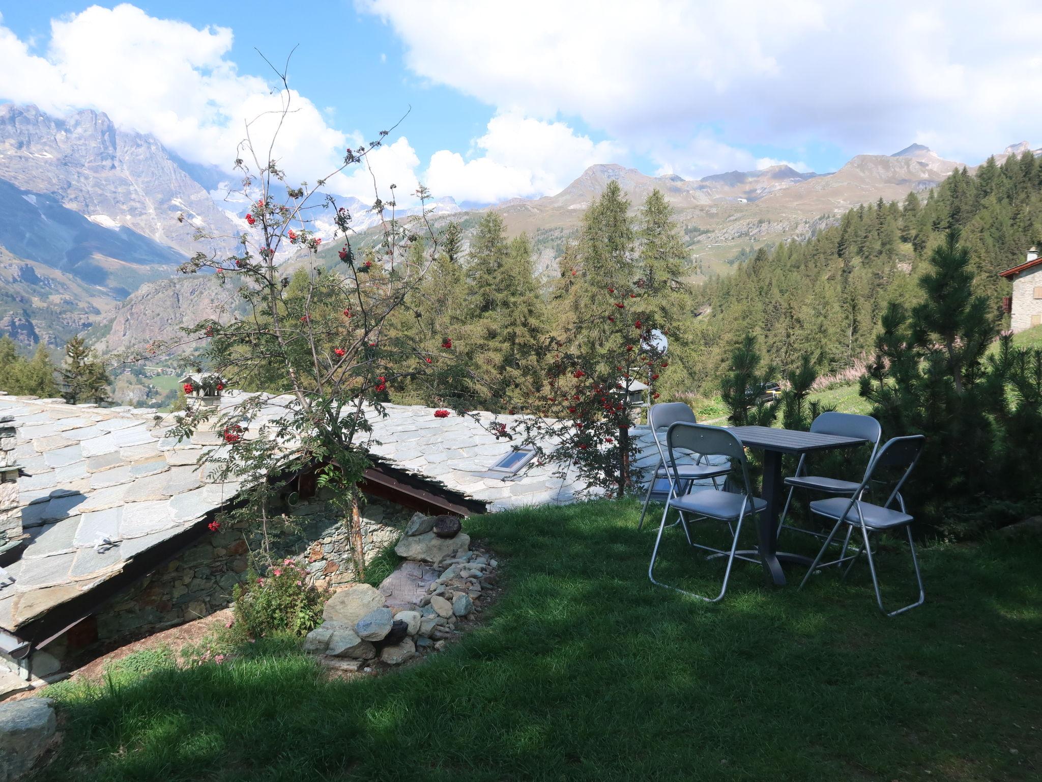 Foto 20 - Appartamento con 1 camera da letto a Valtournenche con giardino e terrazza