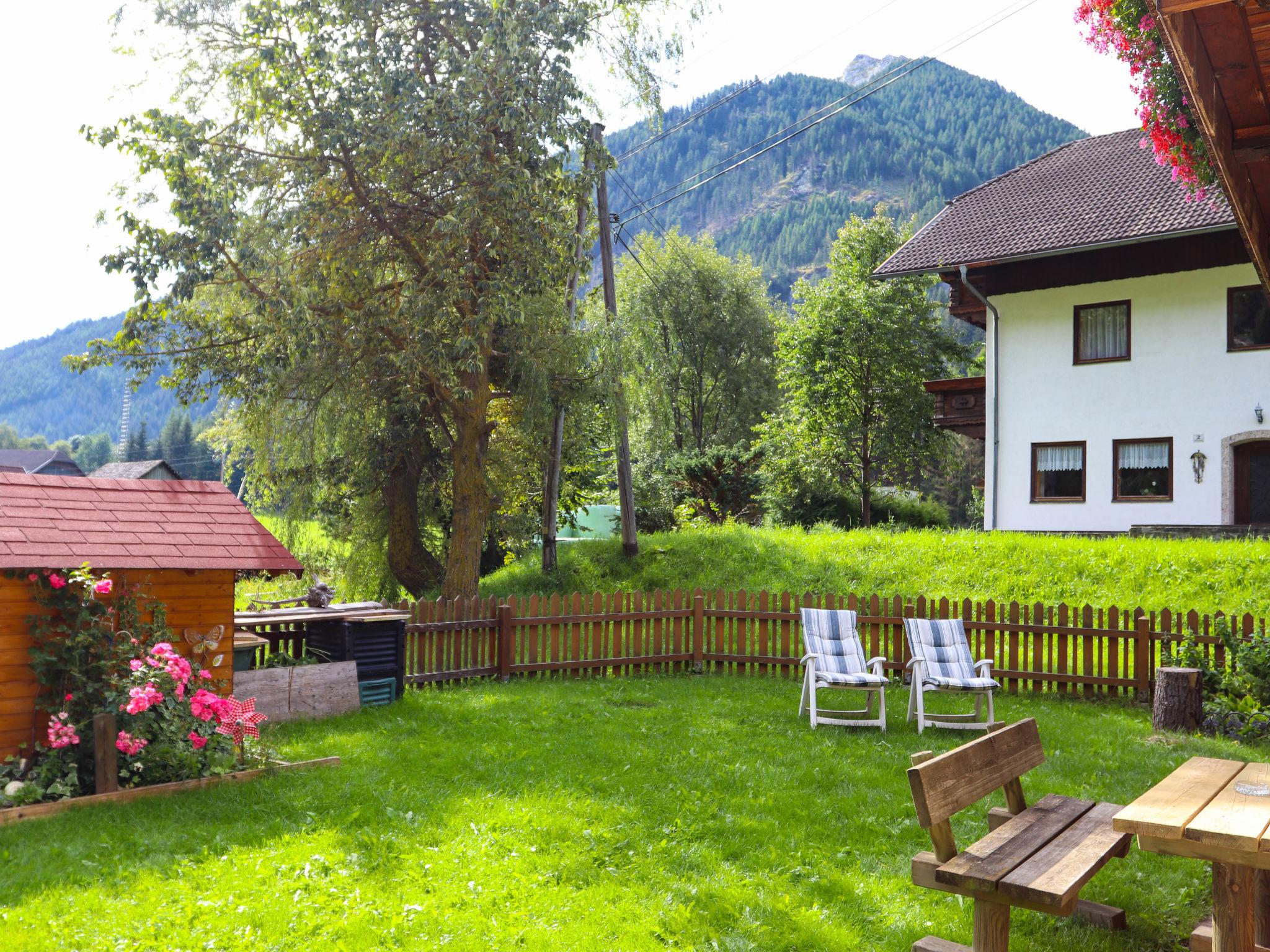 Foto 16 - Casa de 2 habitaciones en Zederhaus con jardín y vistas a la montaña