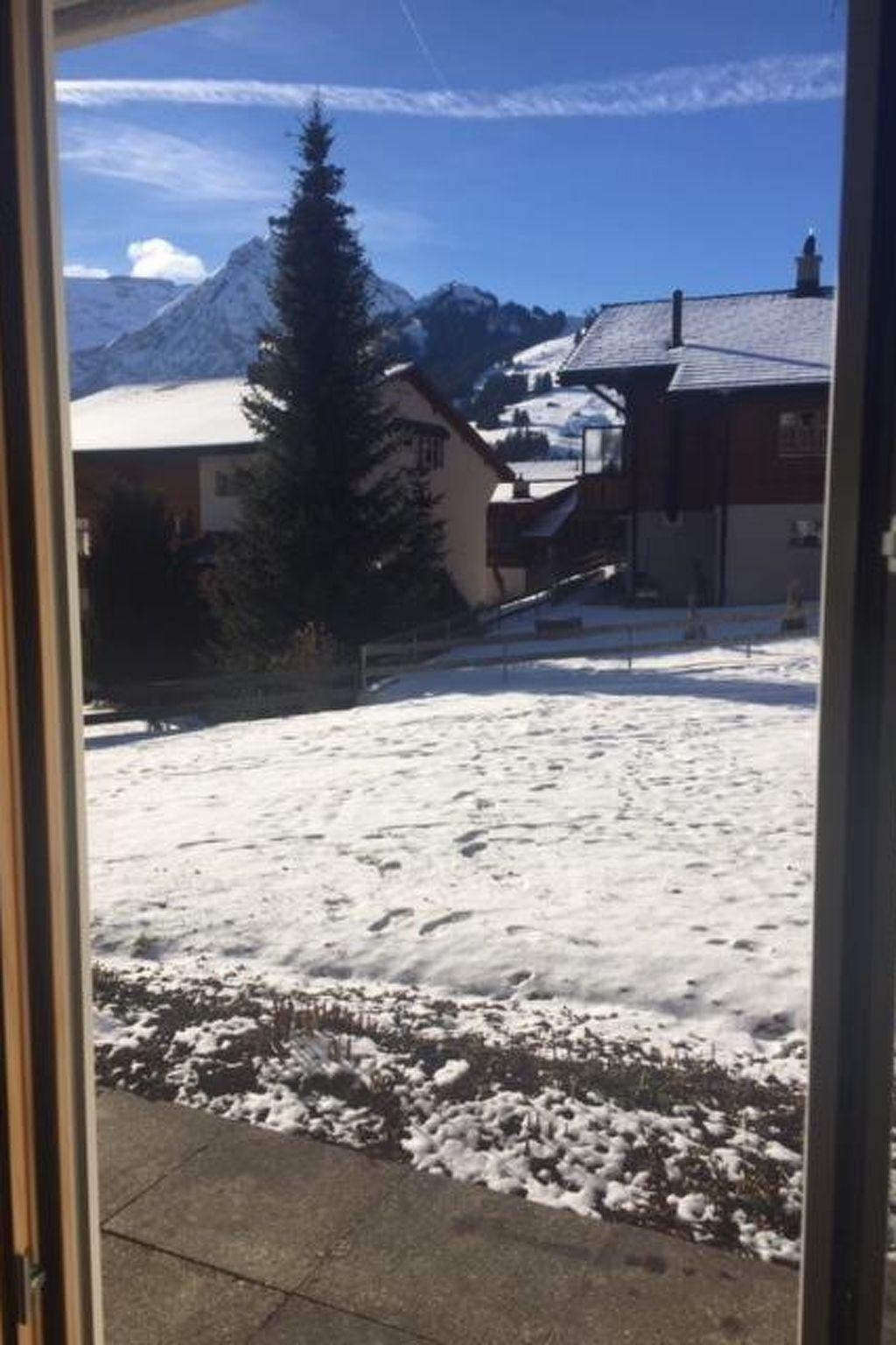 Foto 7 - Appartamento con 1 camera da letto a Adelboden con giardino