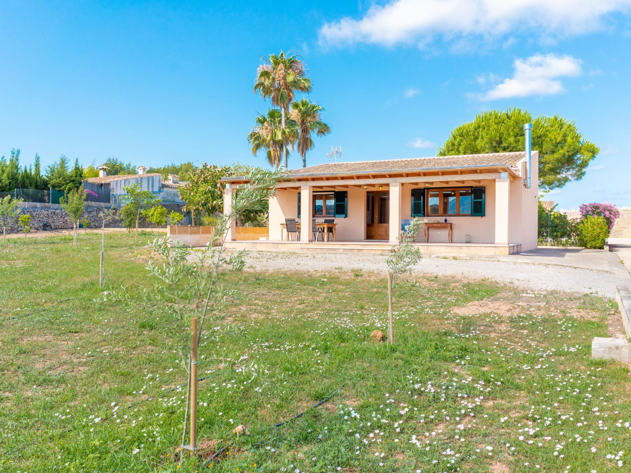 Foto 1 - Casa de 2 habitaciones en Alcúdia con jardín y vistas al mar